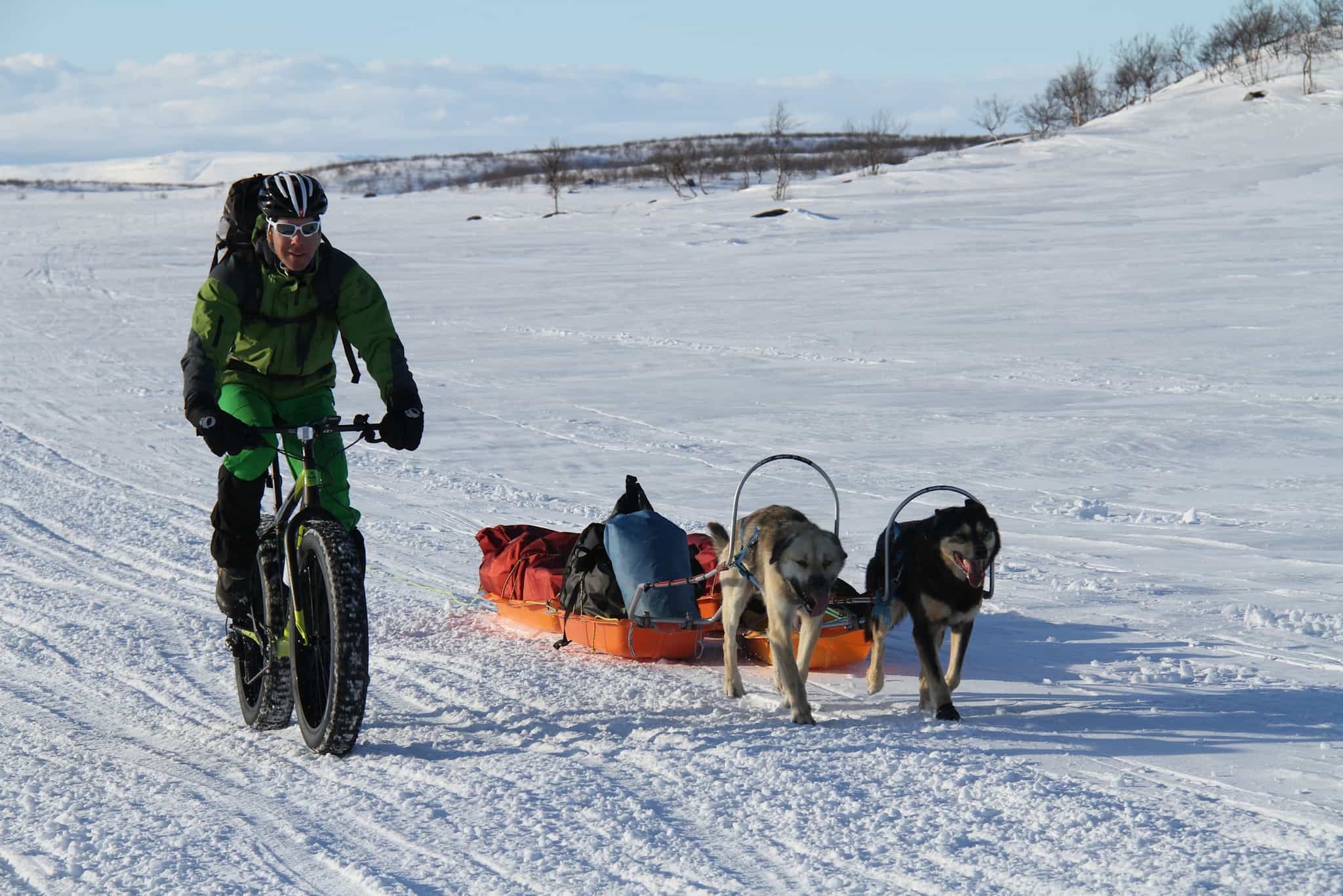 Fat biking in the Arctic with huskies, Norway.