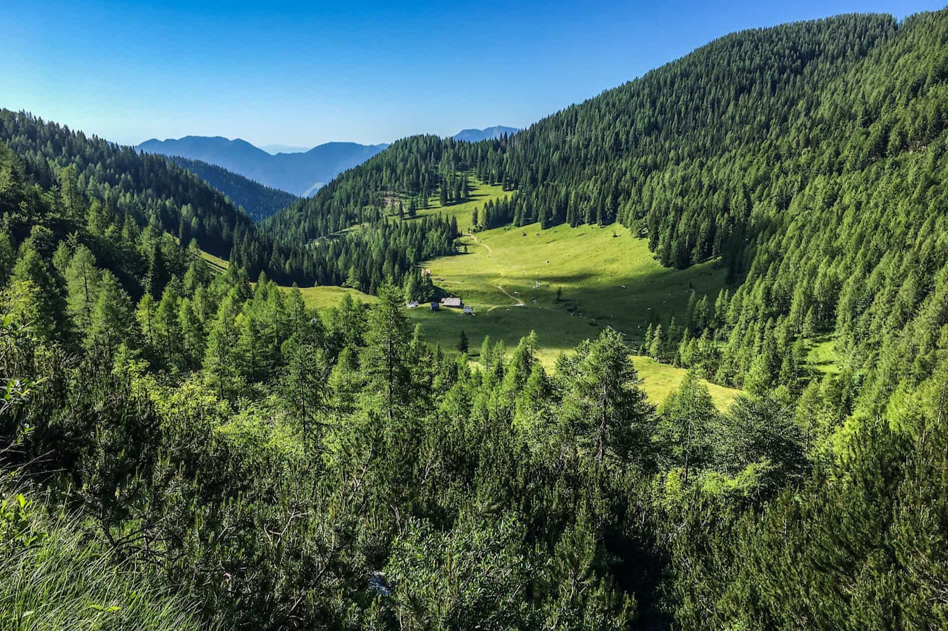 Pokljuka Plateau, Triglav National Park, Slovenia. Photo: Host // Life Adventures