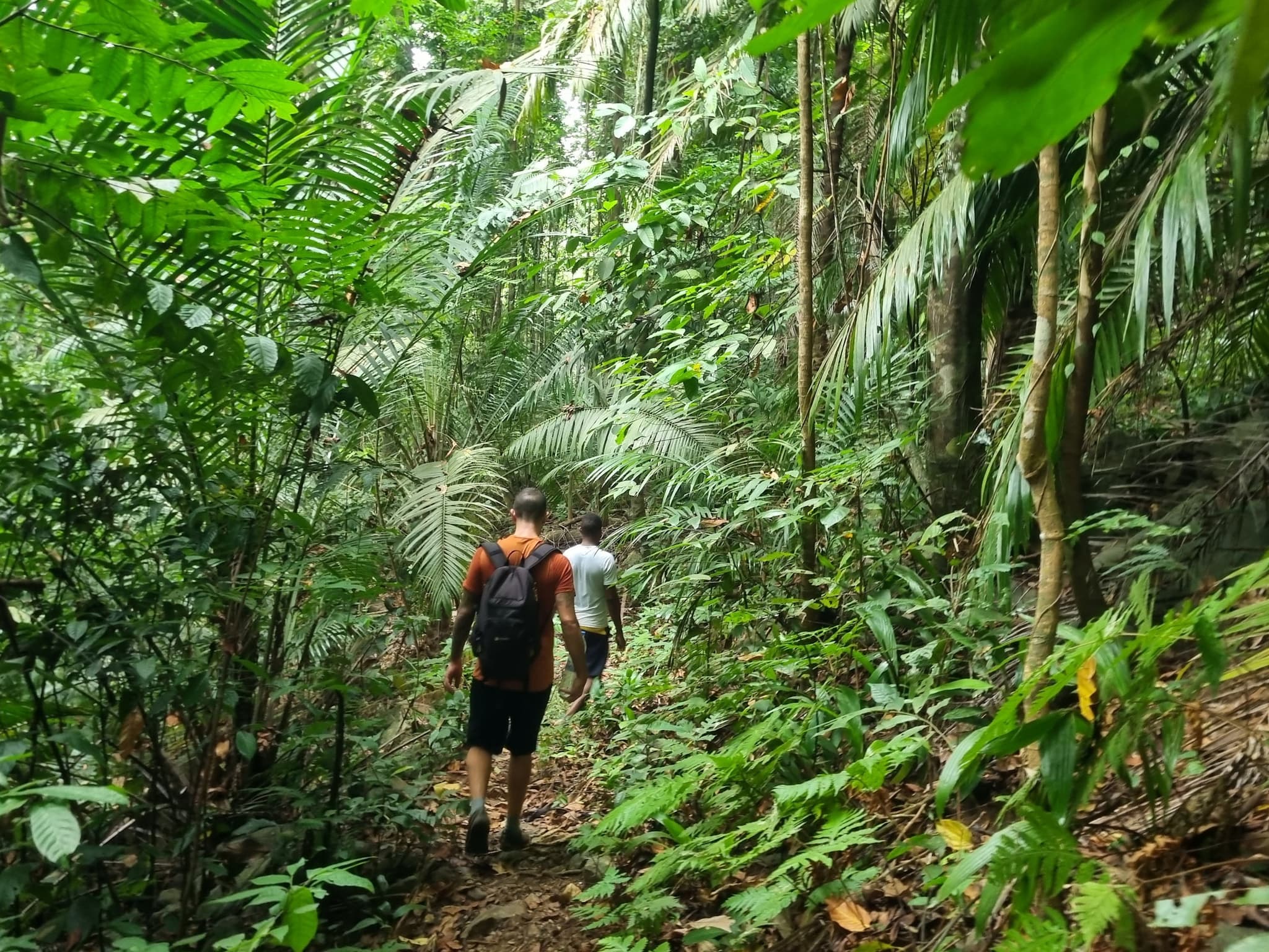 Hiking in Principe. Photo: Marta Marinelli