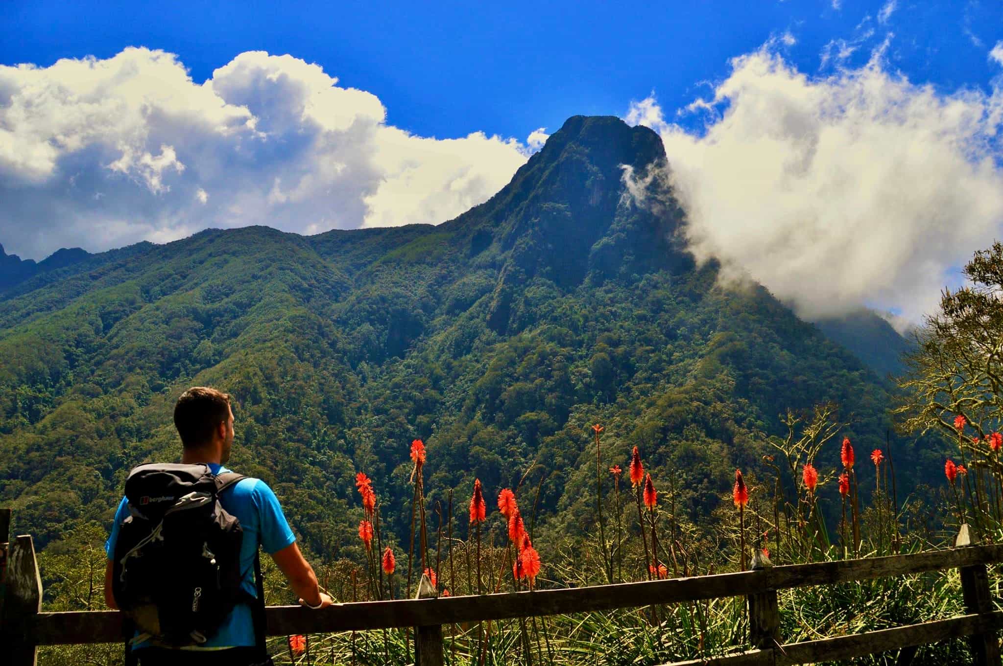 Hiker in the Cocoroa Valley, Colombia.