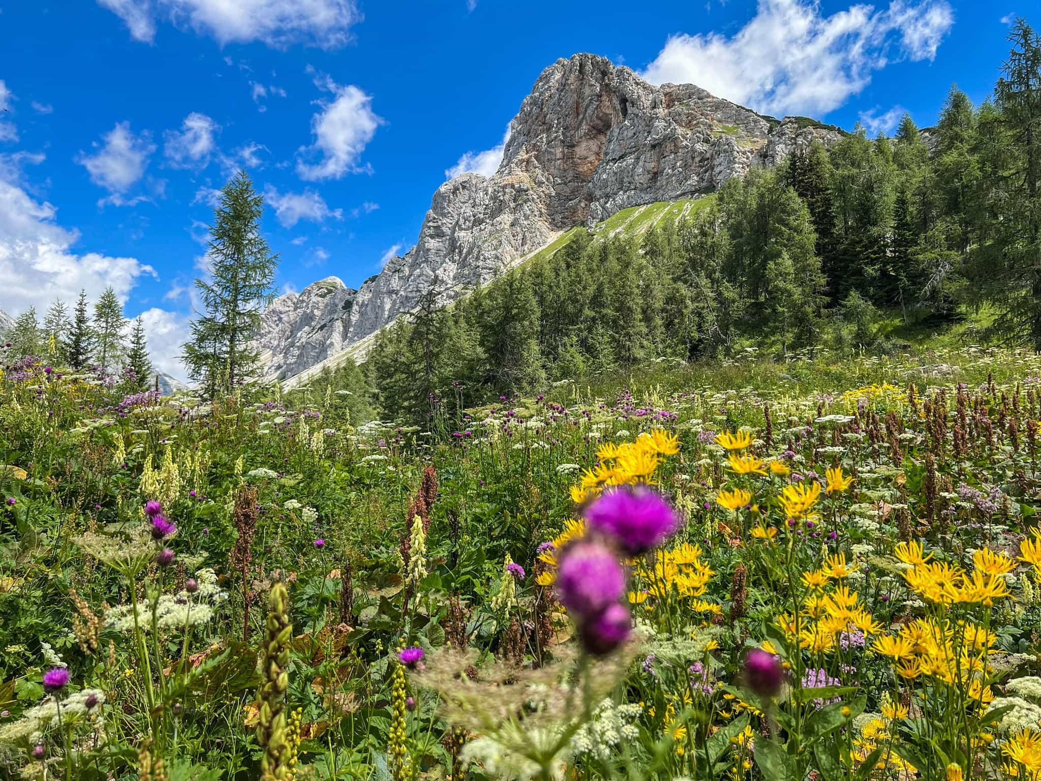 Julian Alps Traverse, SLovenia. Photo: Host // Life Adventures