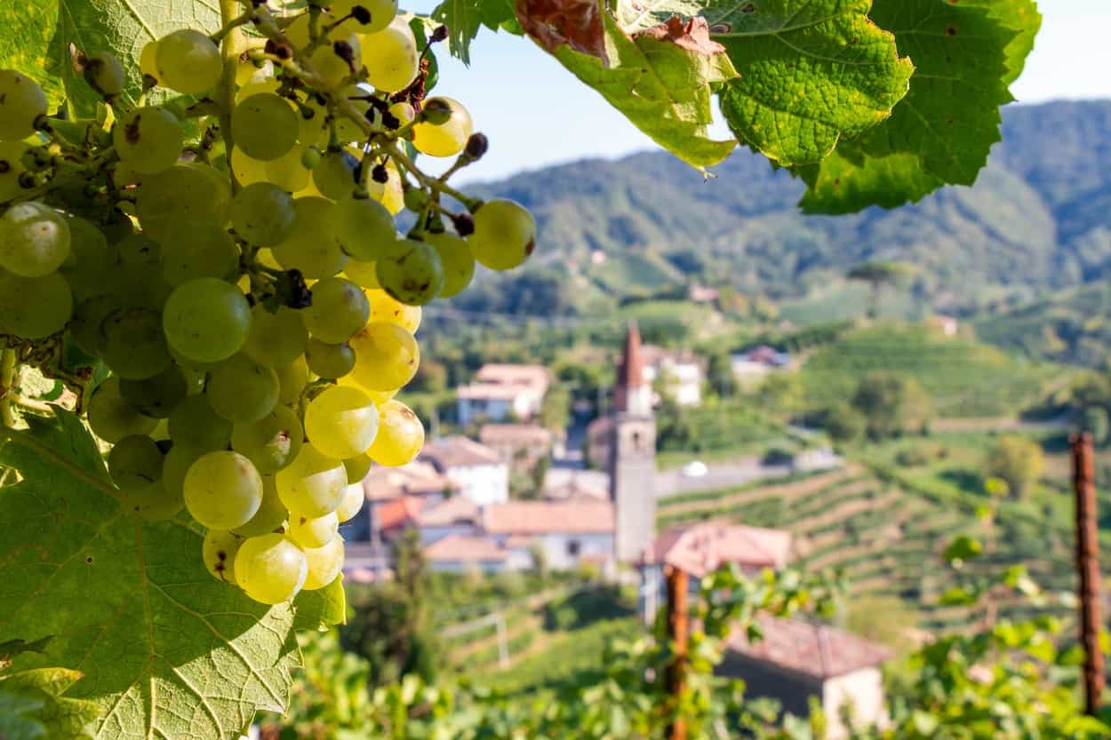 Local village in the Prosecco Hills: Photo: shutterstock 2098020856