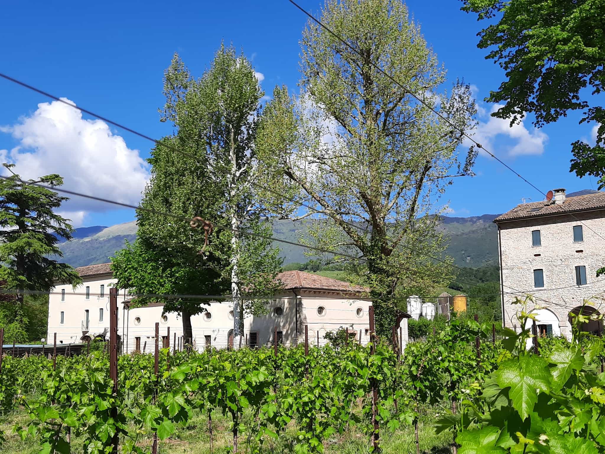 Agriturismo La Bella