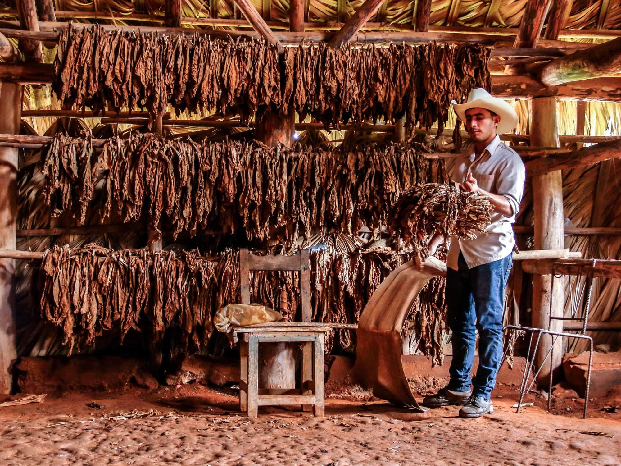 A tobacco farmer in the Viñales Valley, Cuba.