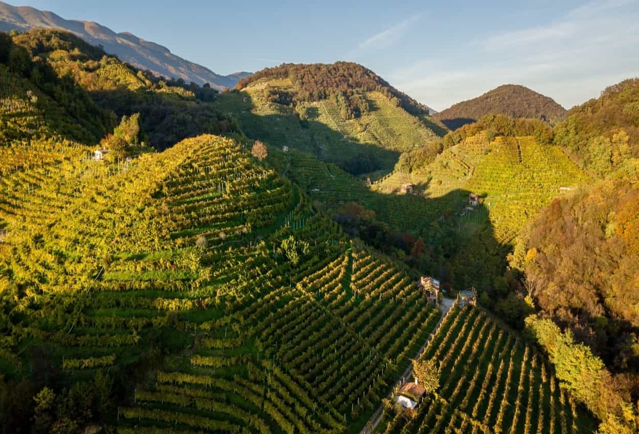 Prosecco Hills, Veneto. Photo: shutterstock 2161030901