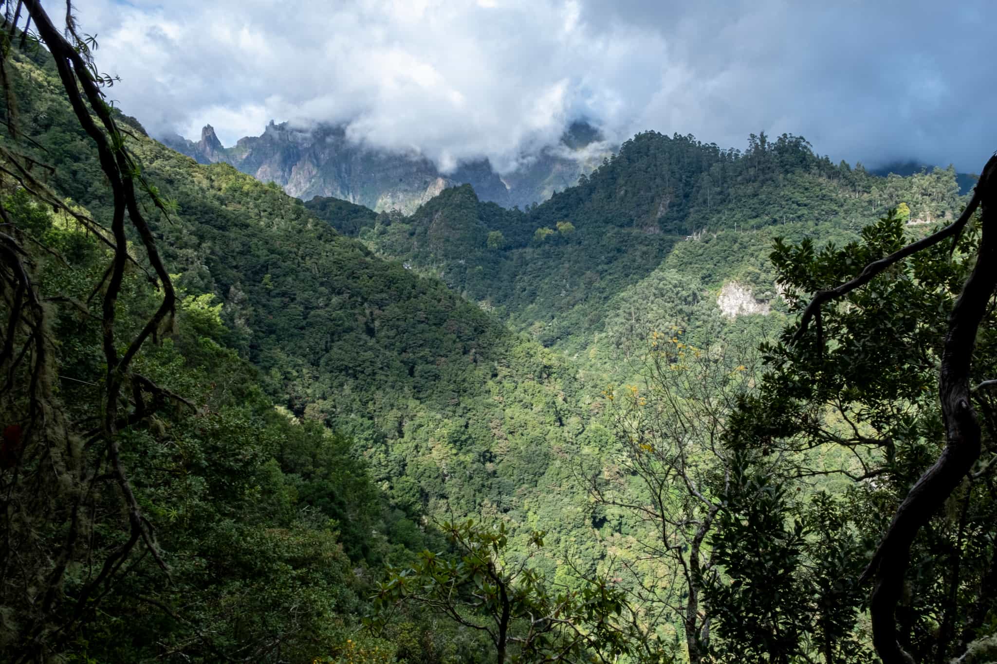Levada do Furado, Madeira, Getty