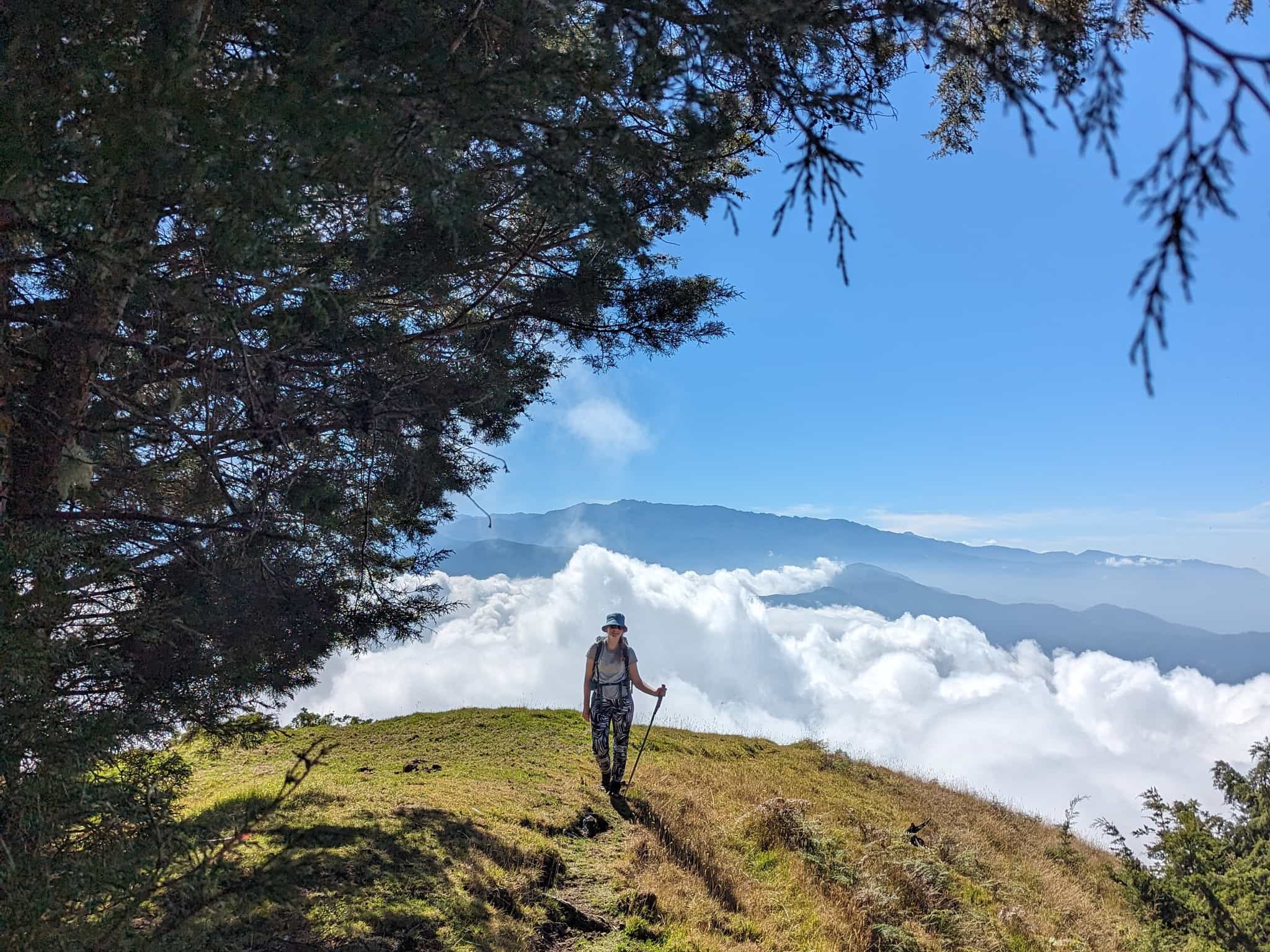 Cerro Kennedy Colombia Kagumu Customer