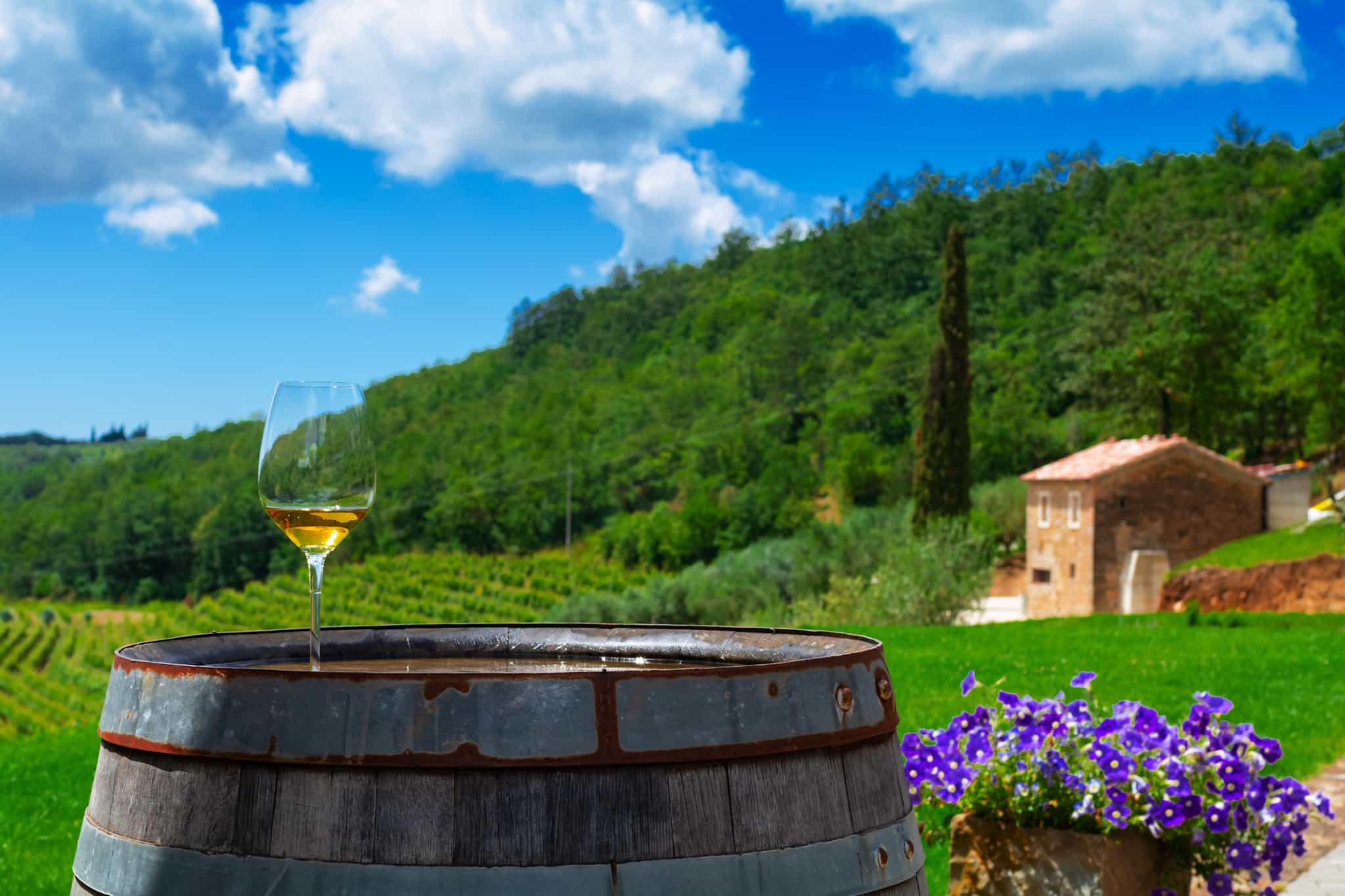 Glass of wine on a barrel in the vineyard