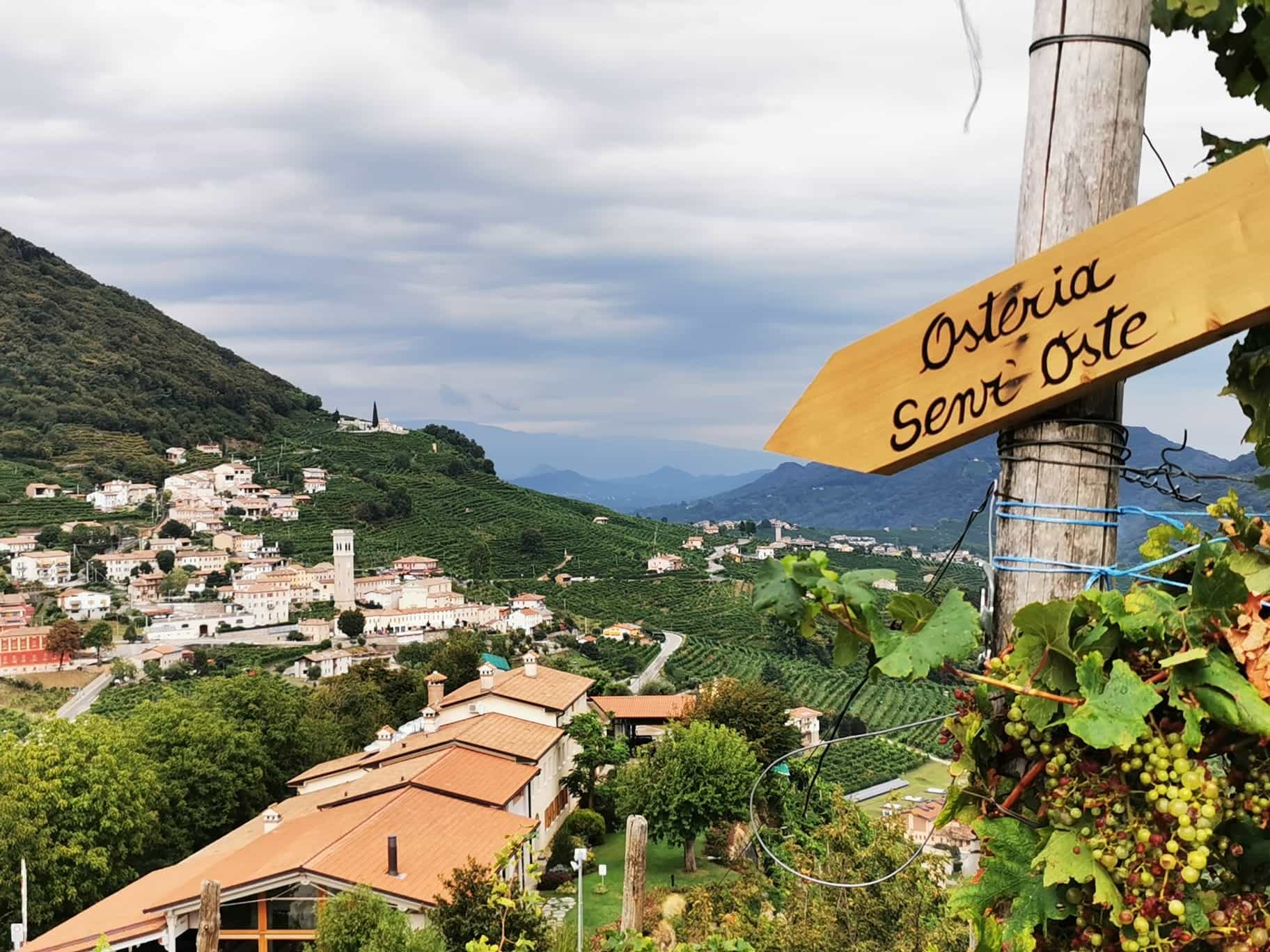 Prosecco Hills, Italy