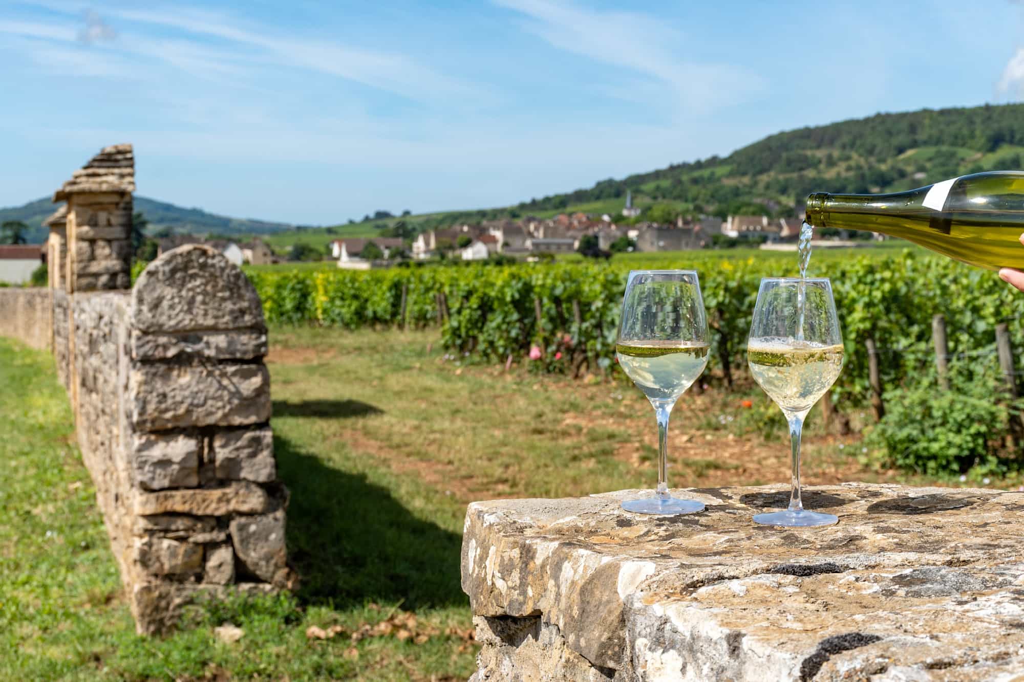 wine tasting, burgundy Photo: shutterstock 2495465389