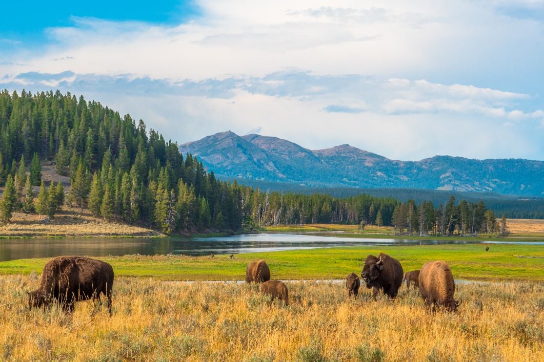 National Parks The Story From John Muir To Yellowstone And Beyond