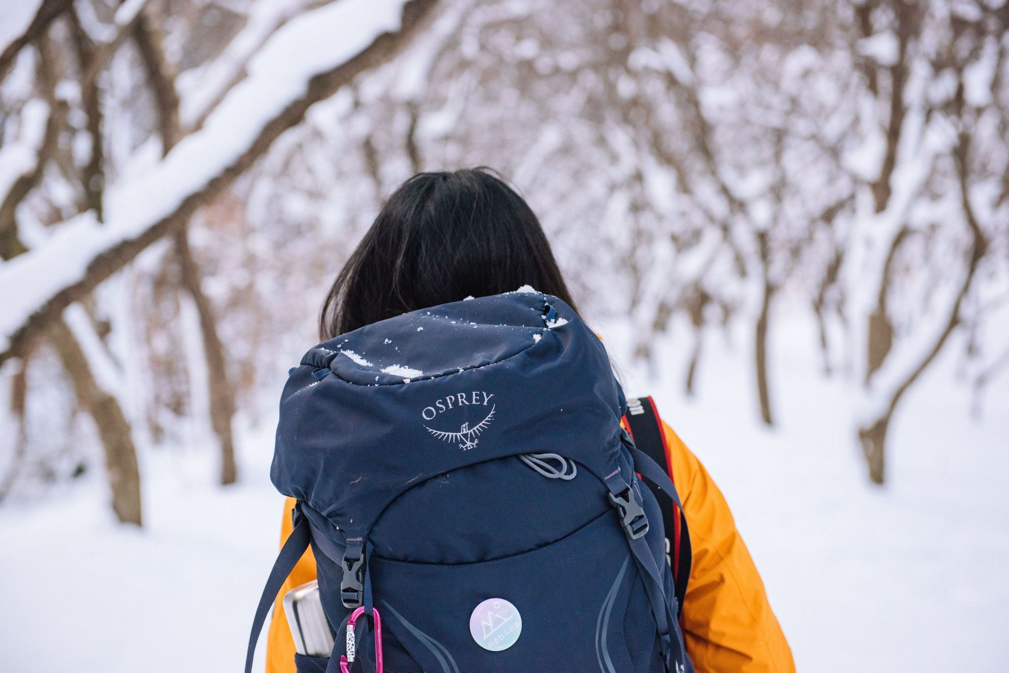  Winter tourist backpack