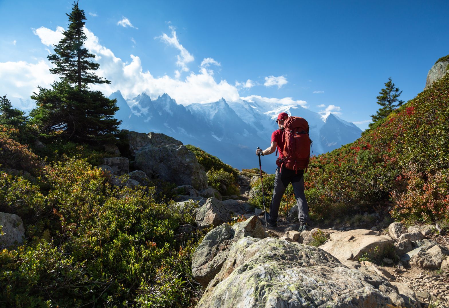 Tour du Mont Blanc Self-Guided Vs. Guided: Which Is Best for YOU?