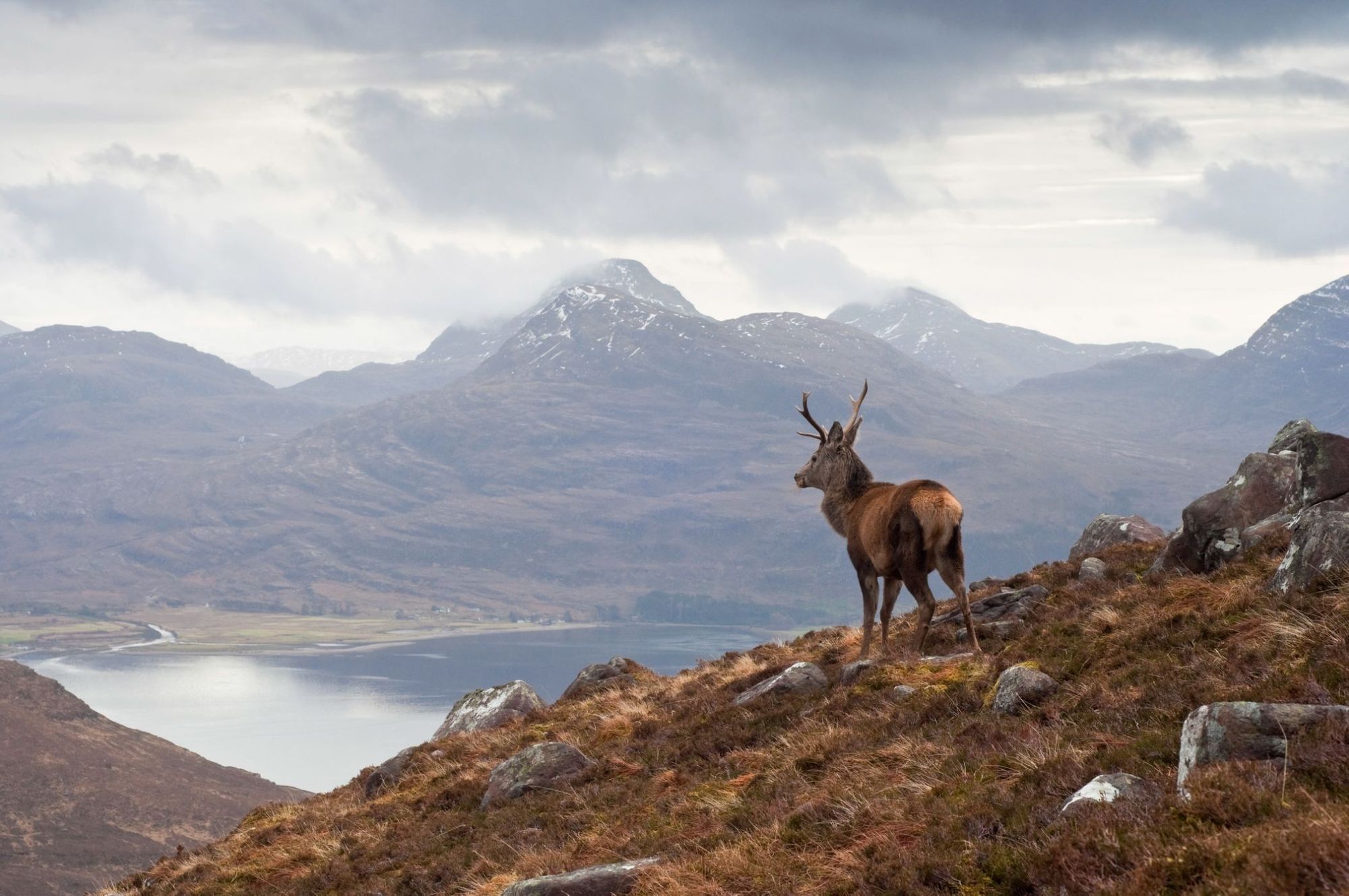 munro scotland mountains        
        <figure class=