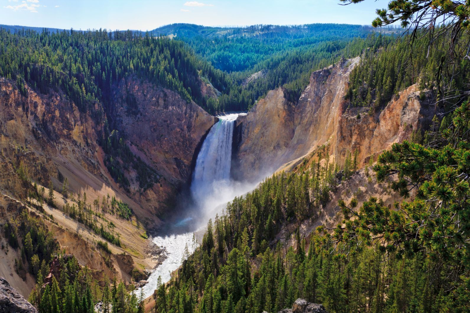 aaa tours to yellowstone national park