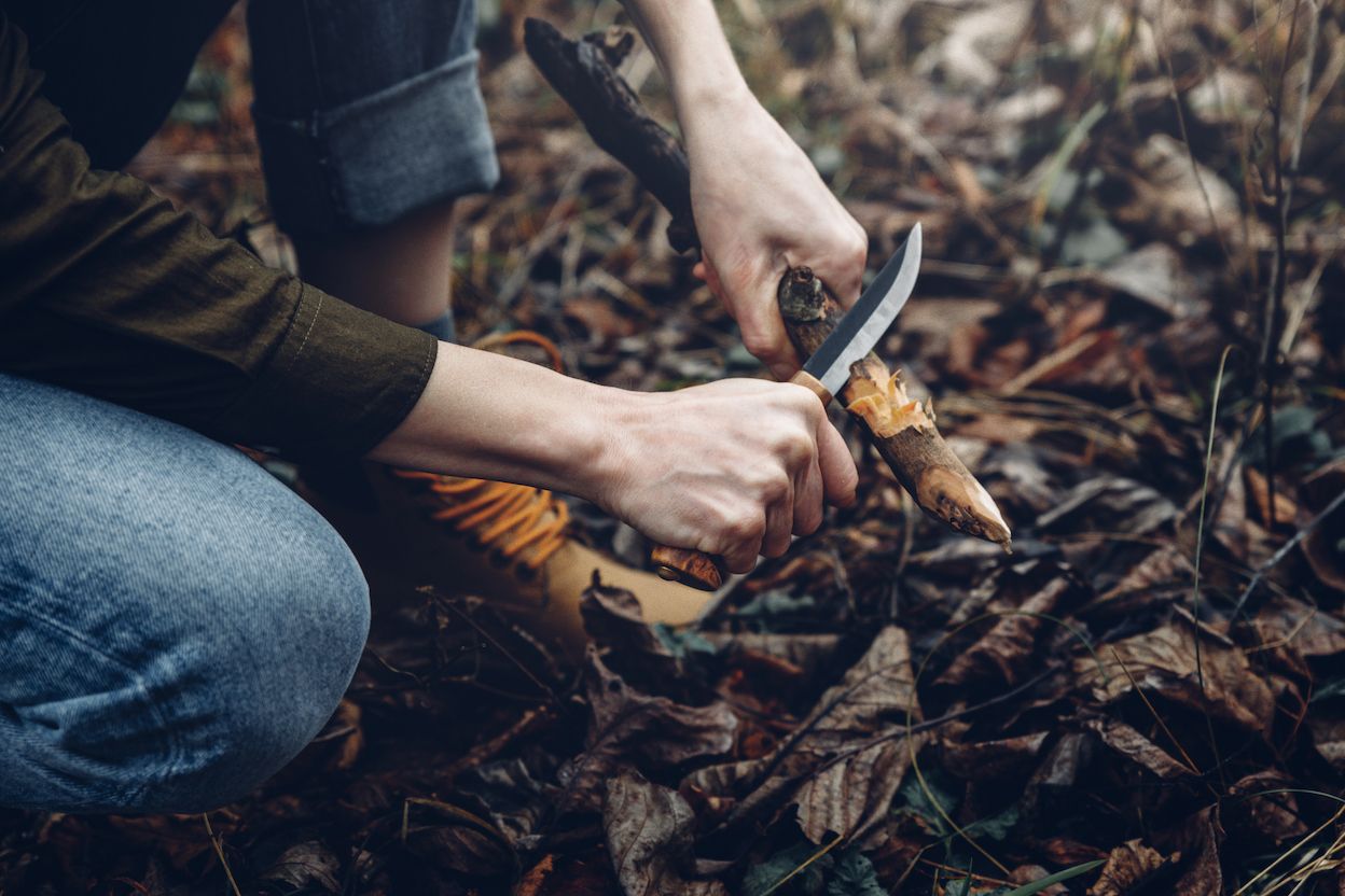 Bushcraft and survival - how do they differ in 2020?