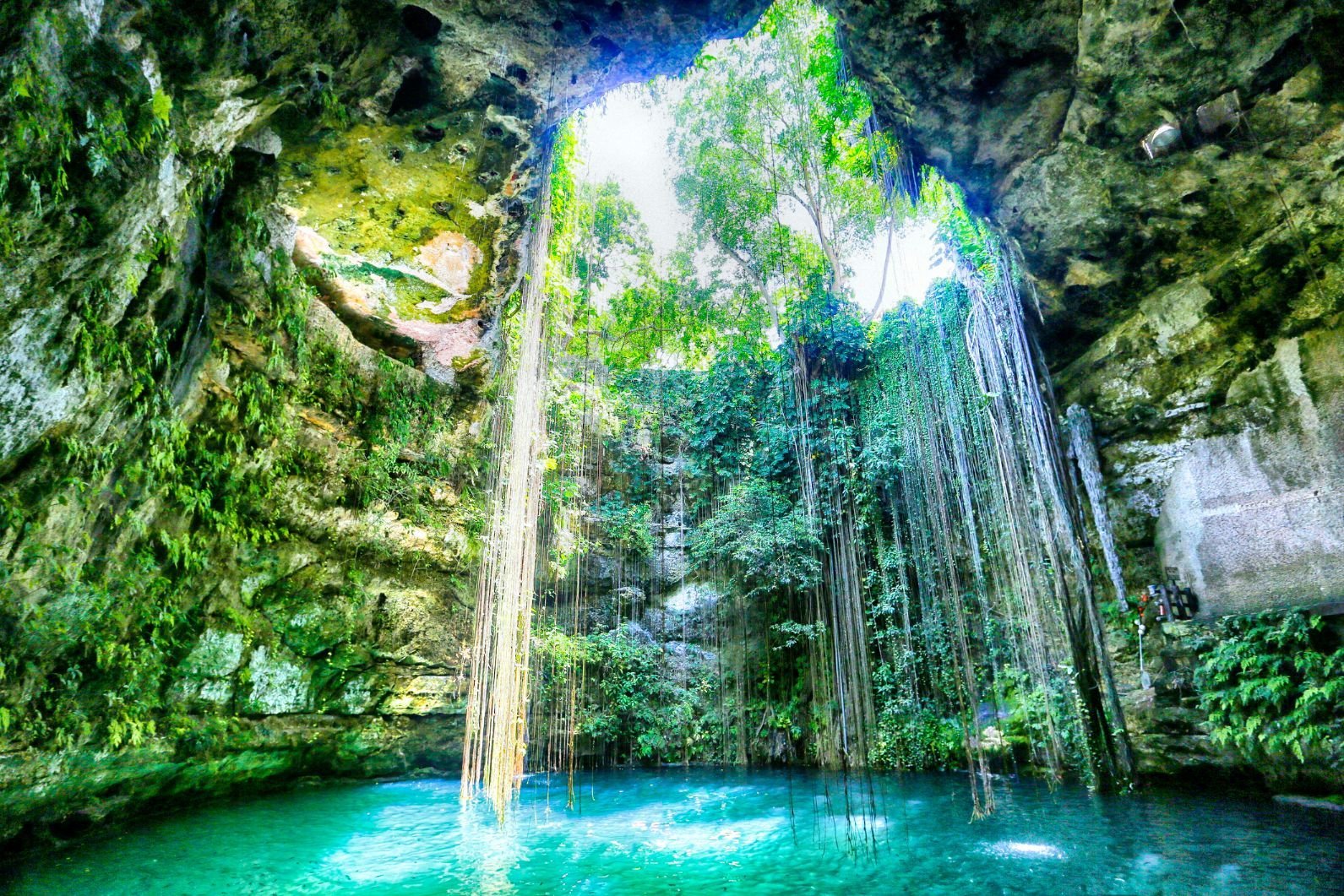 Exploring Mexicos Cenotes: A Journey into Natures Beauty