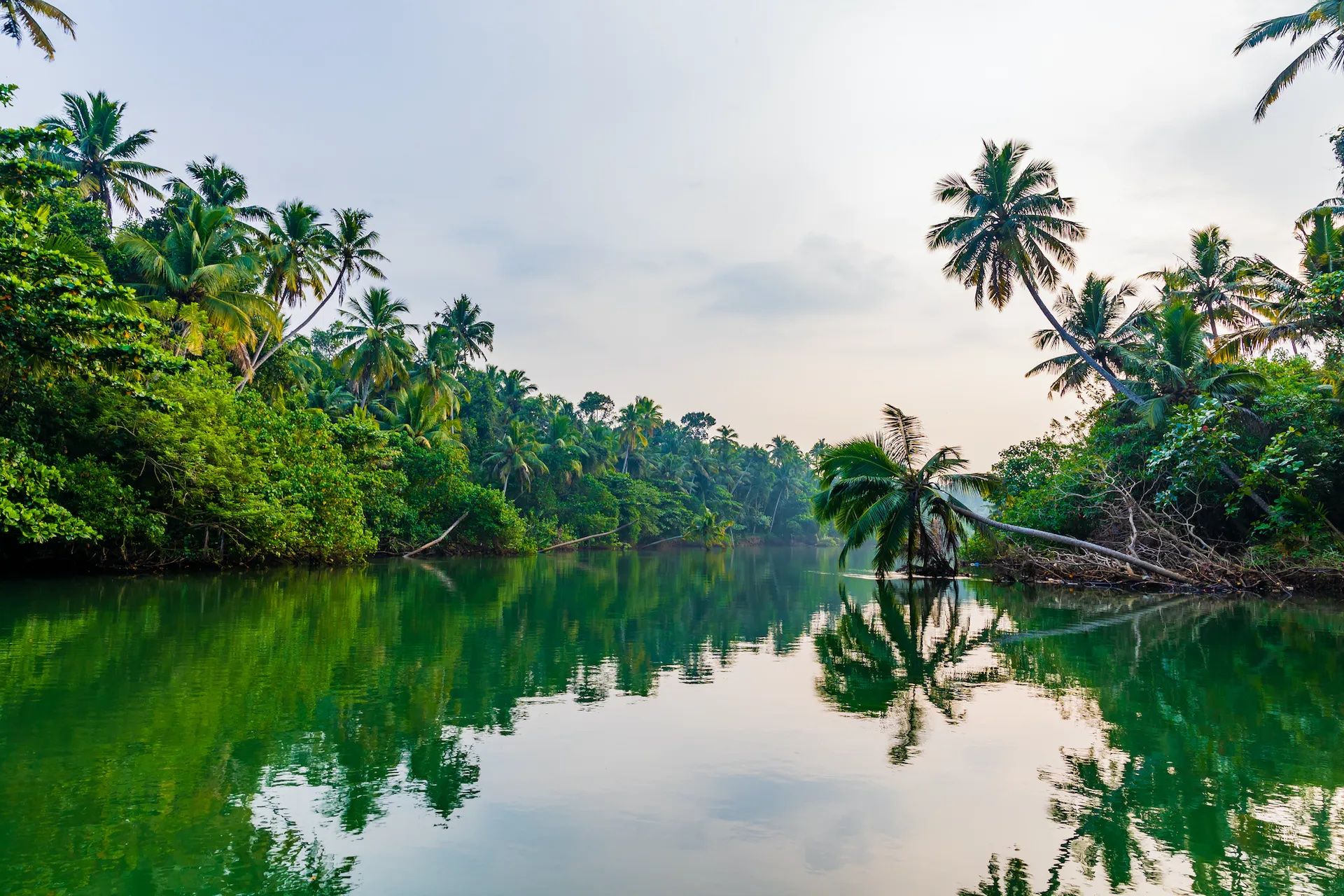 case study of kerala backwaters