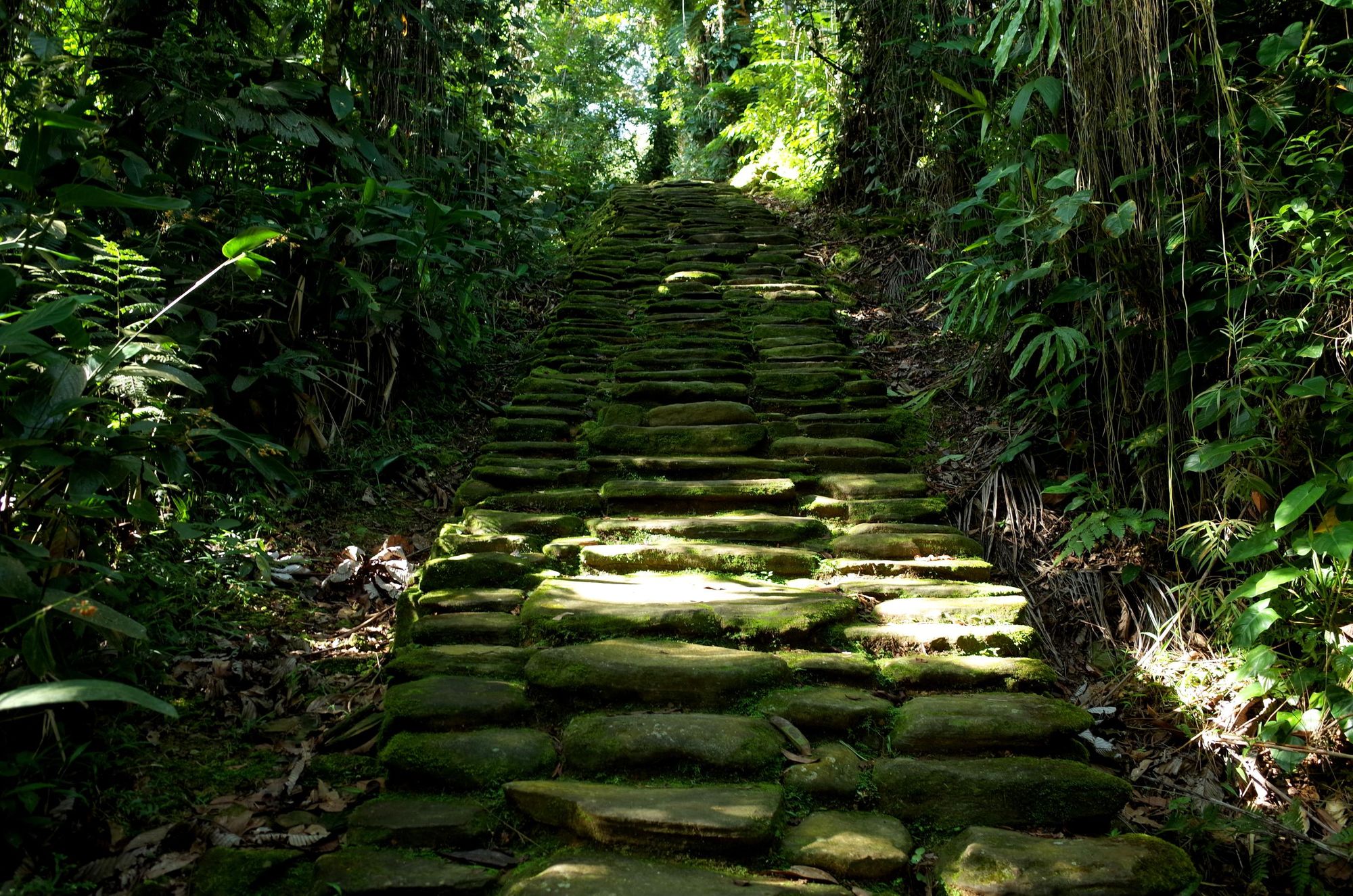 The staircase straightens out as it approaches Ciudad Perdida. Photo: Getty