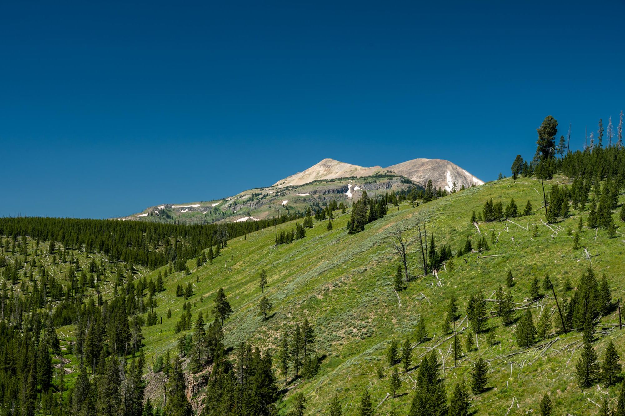 Green rolling hills leading up to Mount Holmes in Yellowstone. Photo: Getty
