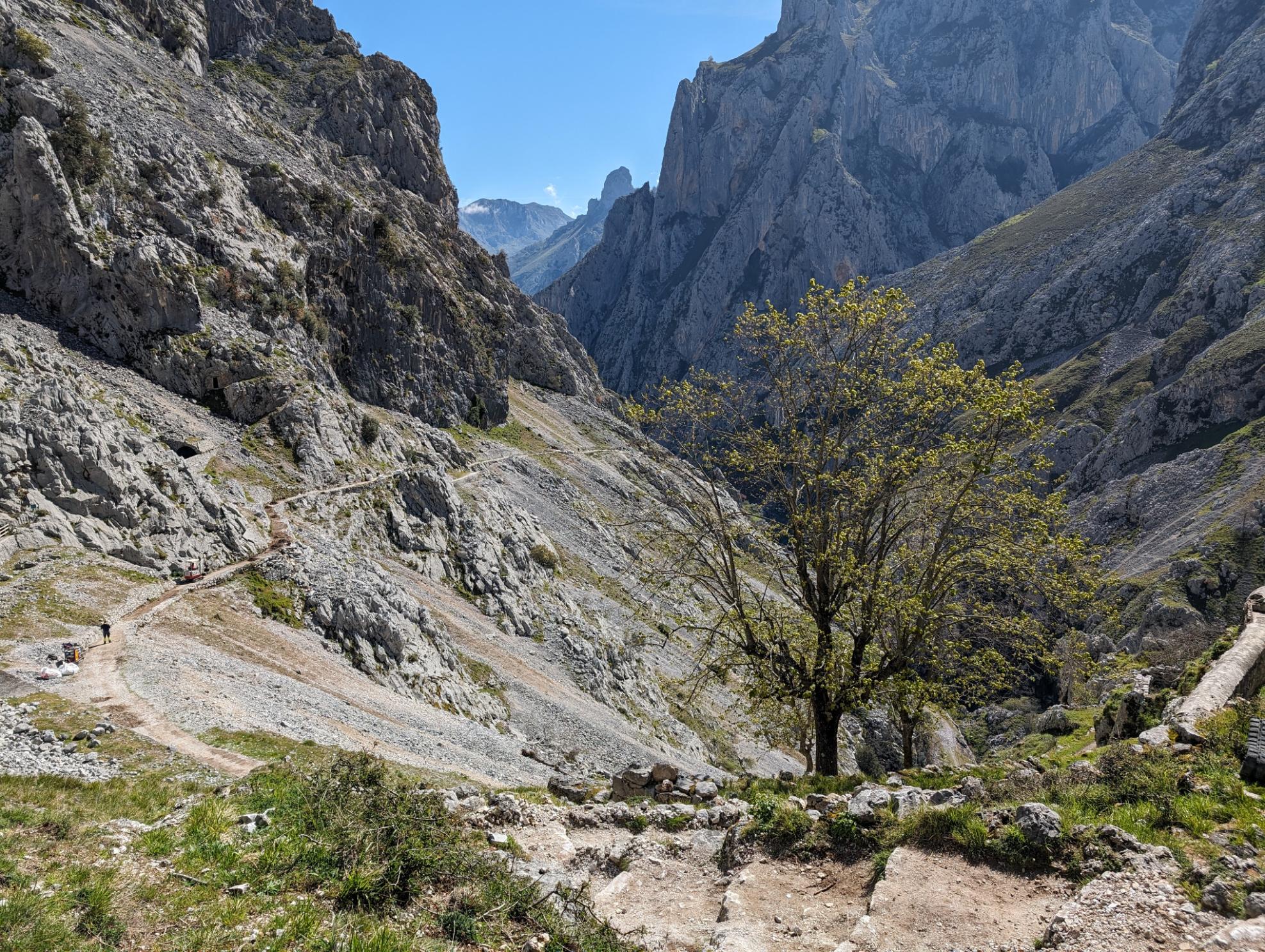 The early route of the Ruta del Cares, when the gorge is wider. Photo: Stuart Kenny