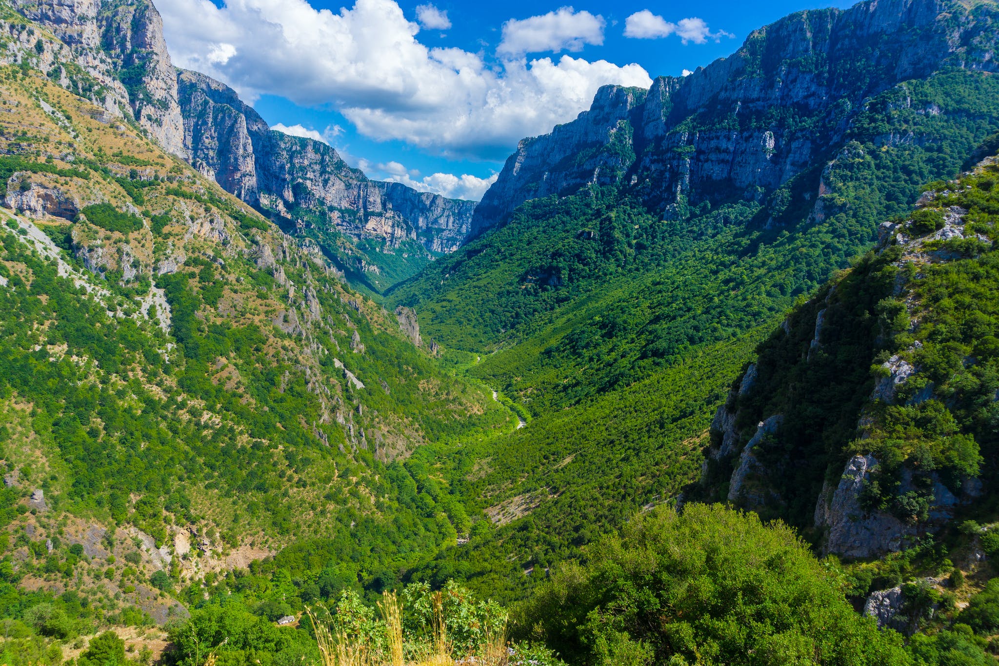 The cliffs and forests of Vikos Gorge. Photo: Getty.