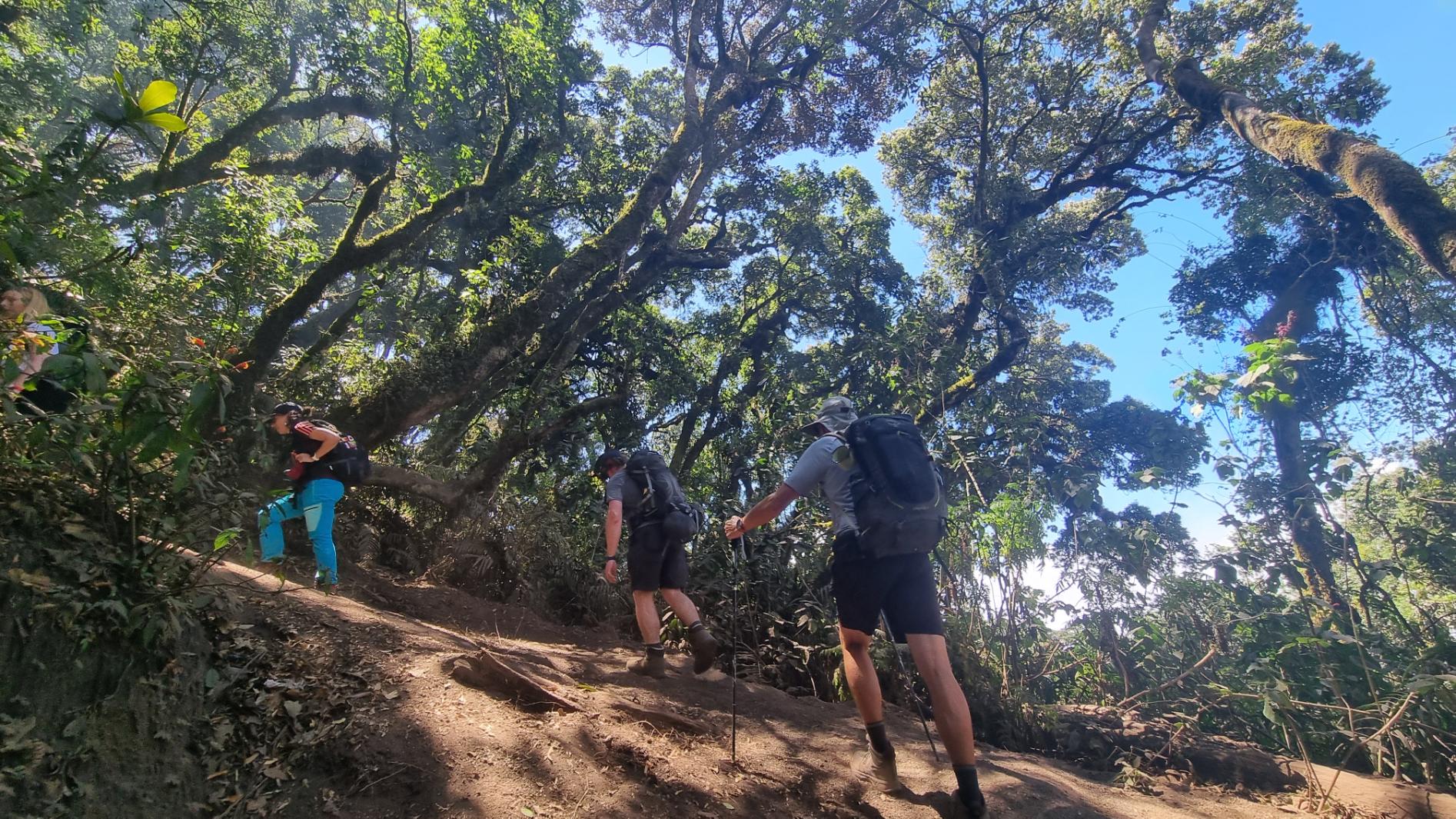 The climb from the Acatenango trailhead to base camp. Photo: Marta Marinelli.