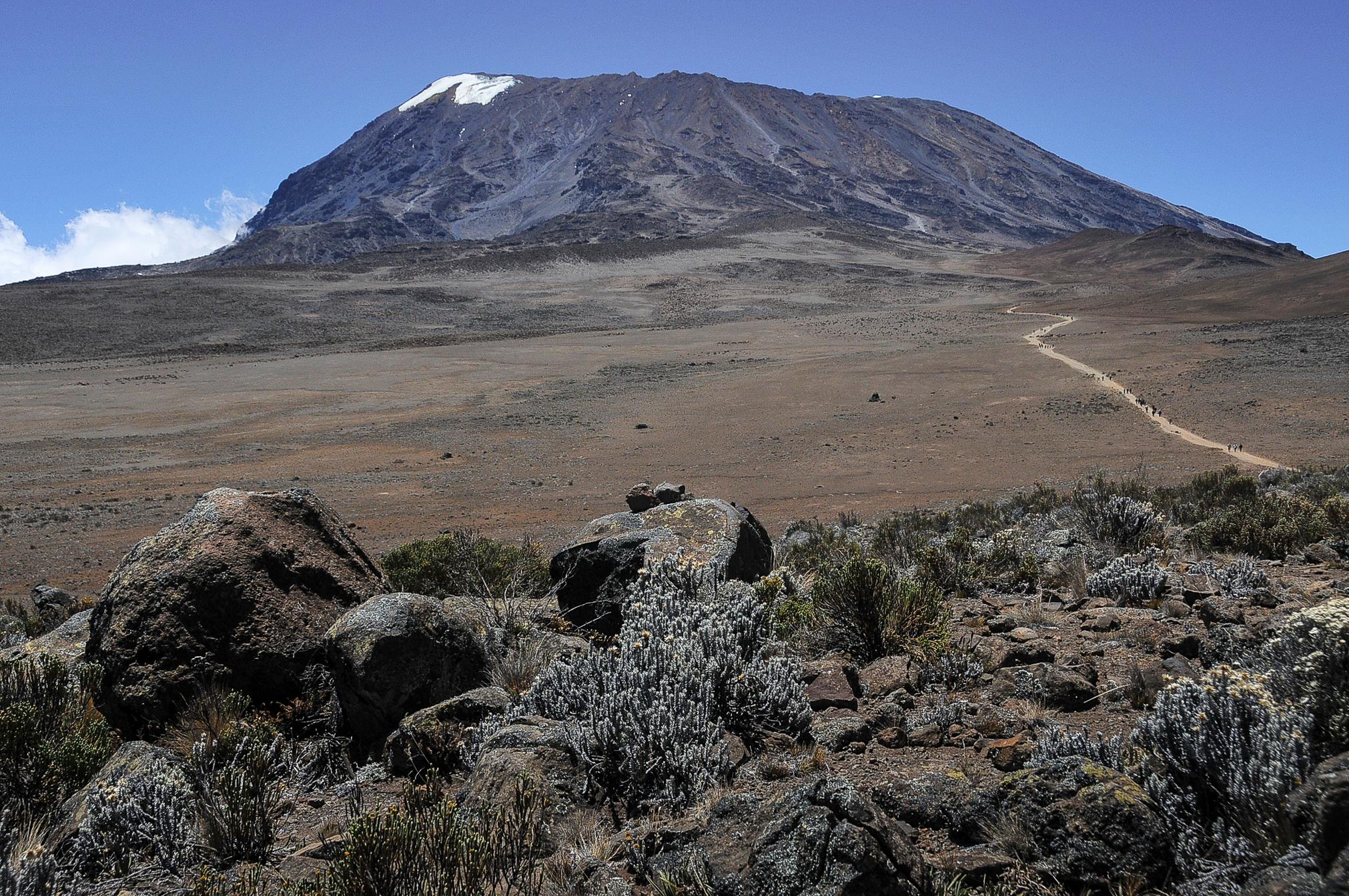 Looking at Kilimanjaro summit from the Marangu Route. Photo: Getty.