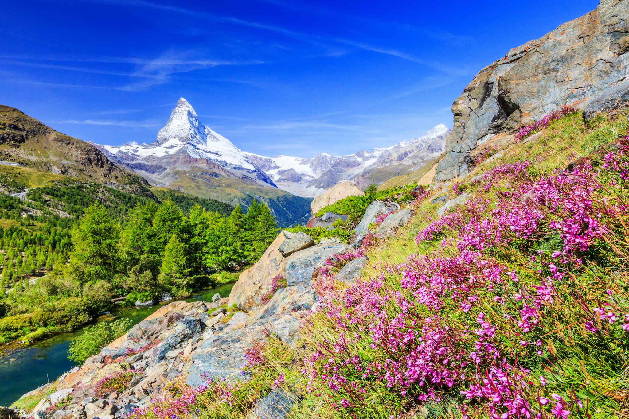 Wildflower meadows in front of the Matterhorn. Photo: Happy Tracks.