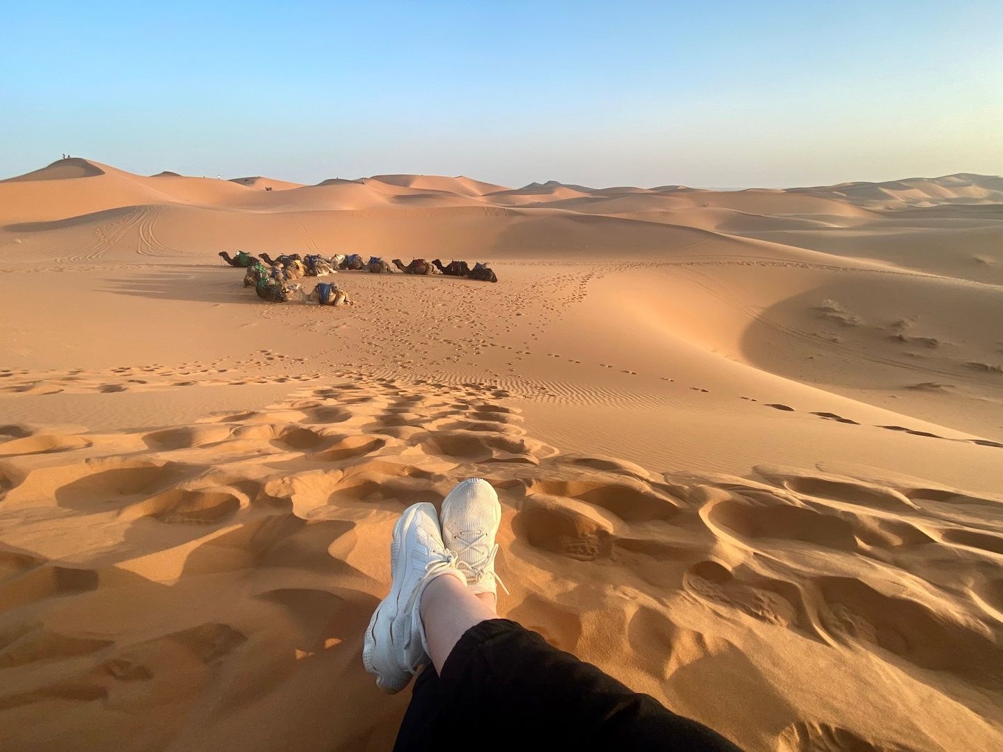Relaxing in the desert with camels in the background