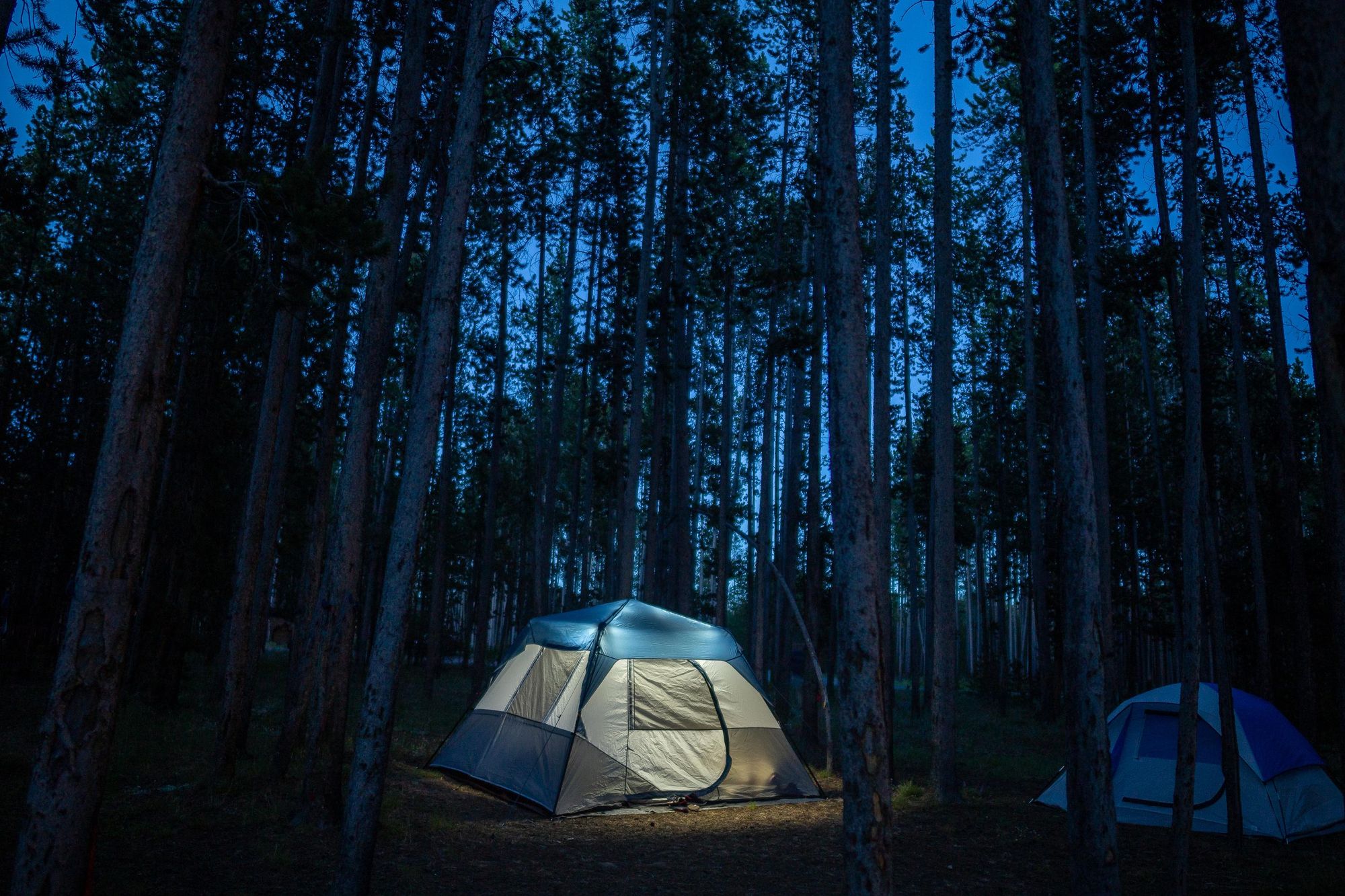 Camping lights come on in a tent in Yellowstone, as night falls on the park. Photo: Getty