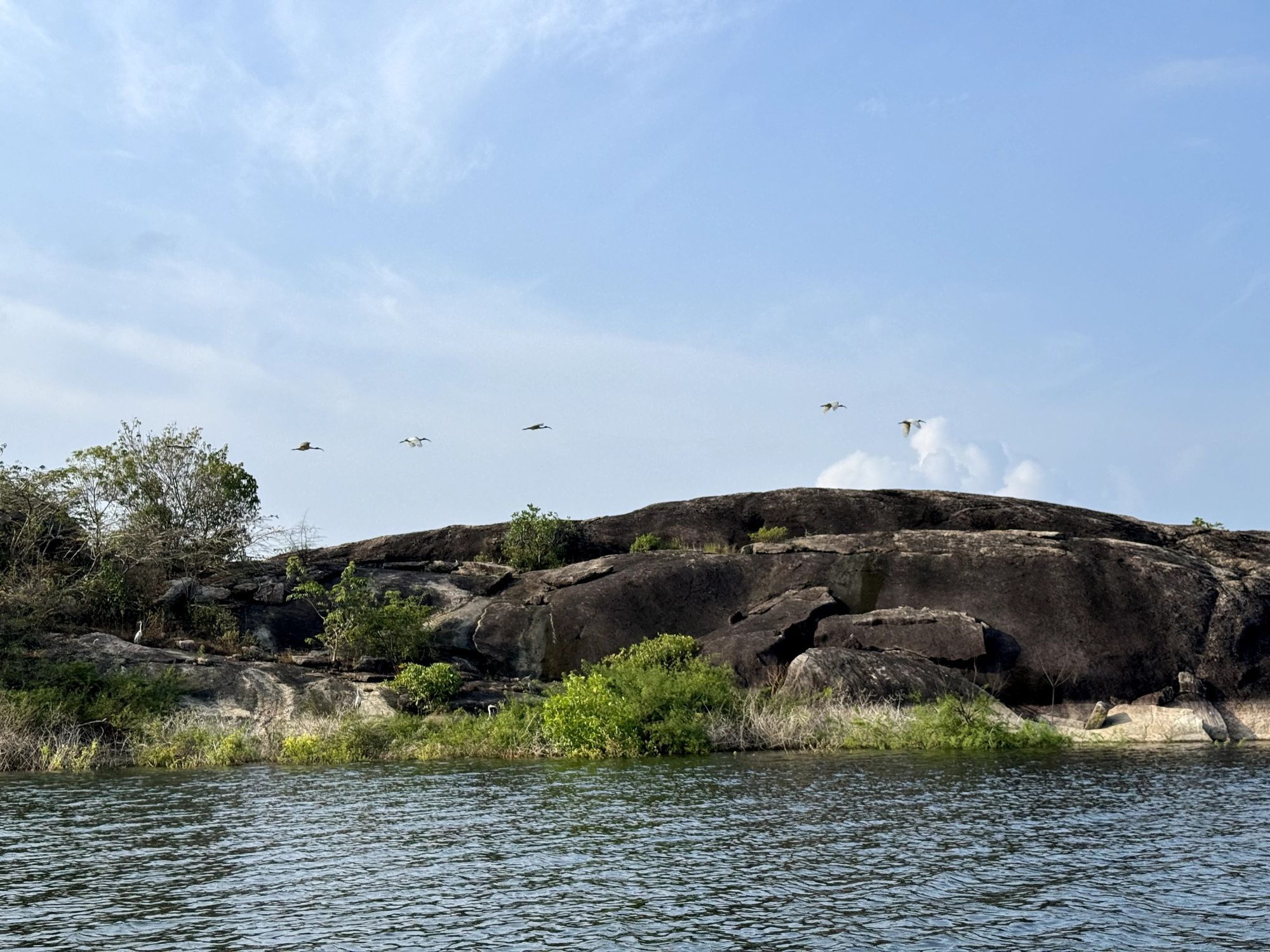 Birds flying above a rock and reservoir in Sri Lanka.