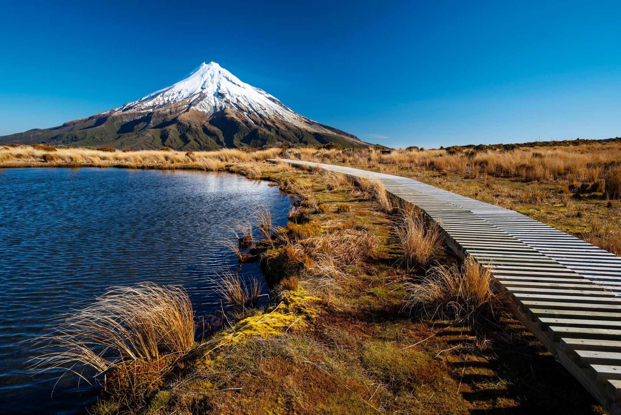 10 of the Best Hikes in New Zealand
