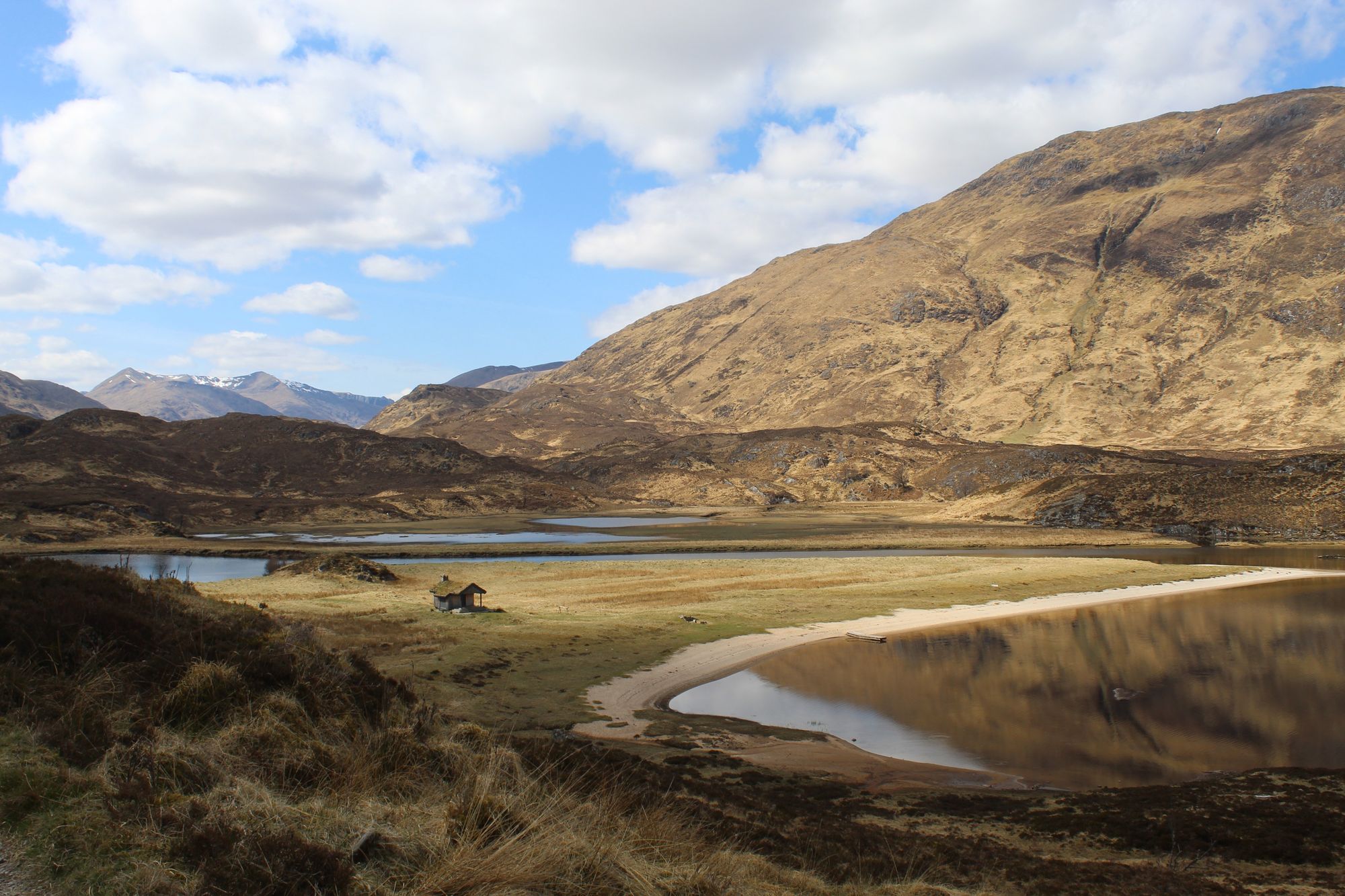 The picturesque landscape of Glen Affric on a sunny day in the Highlands. Photo: Stuart Kenny