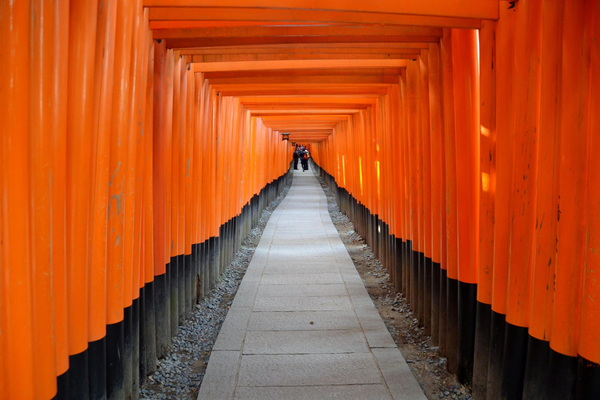 The orange gates of the Fushimi Inari Shrine. Photo: Marta Marinelli.