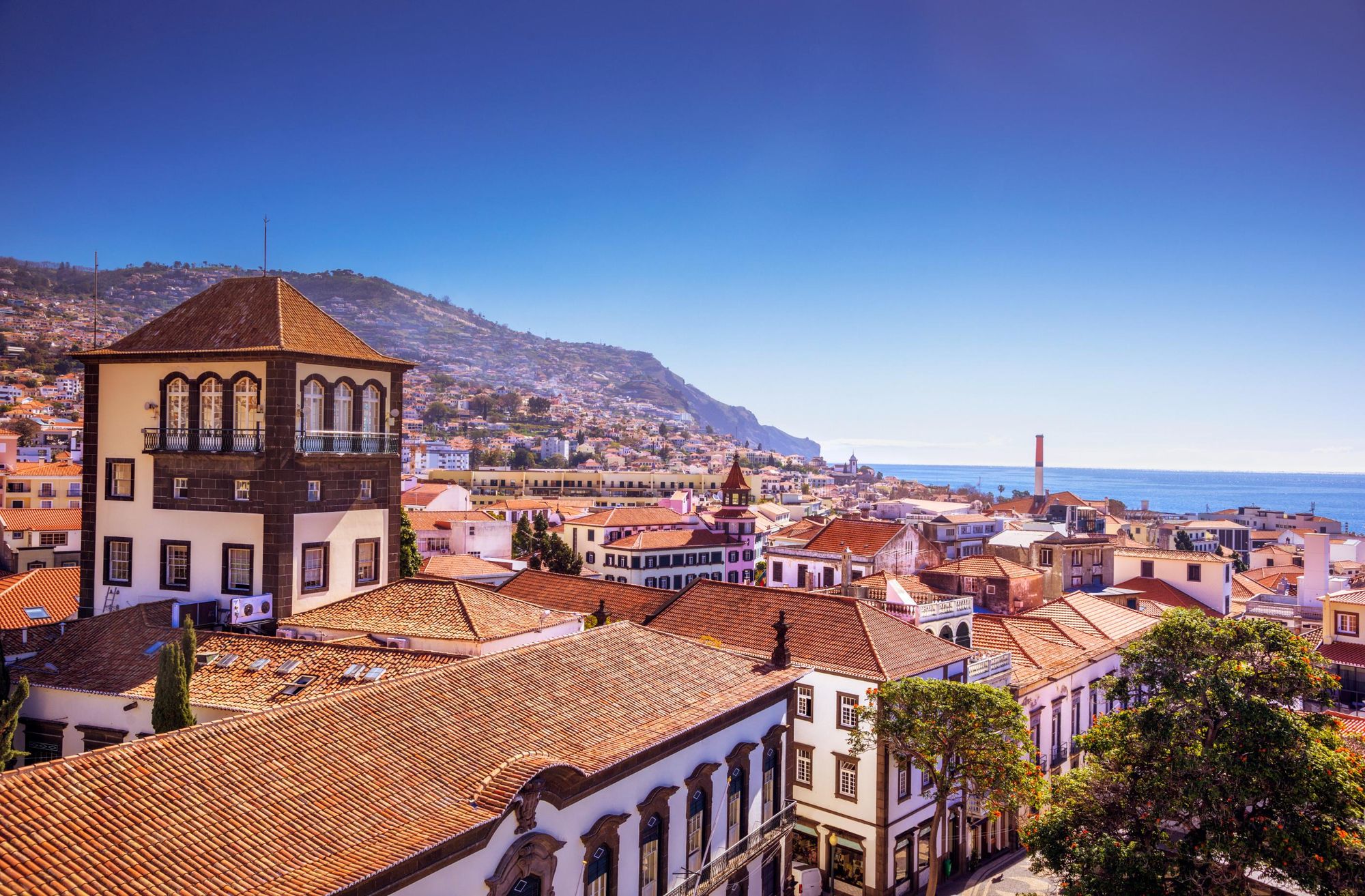 The rooftops of the city of Funchal in Madeira. Photo: Getty