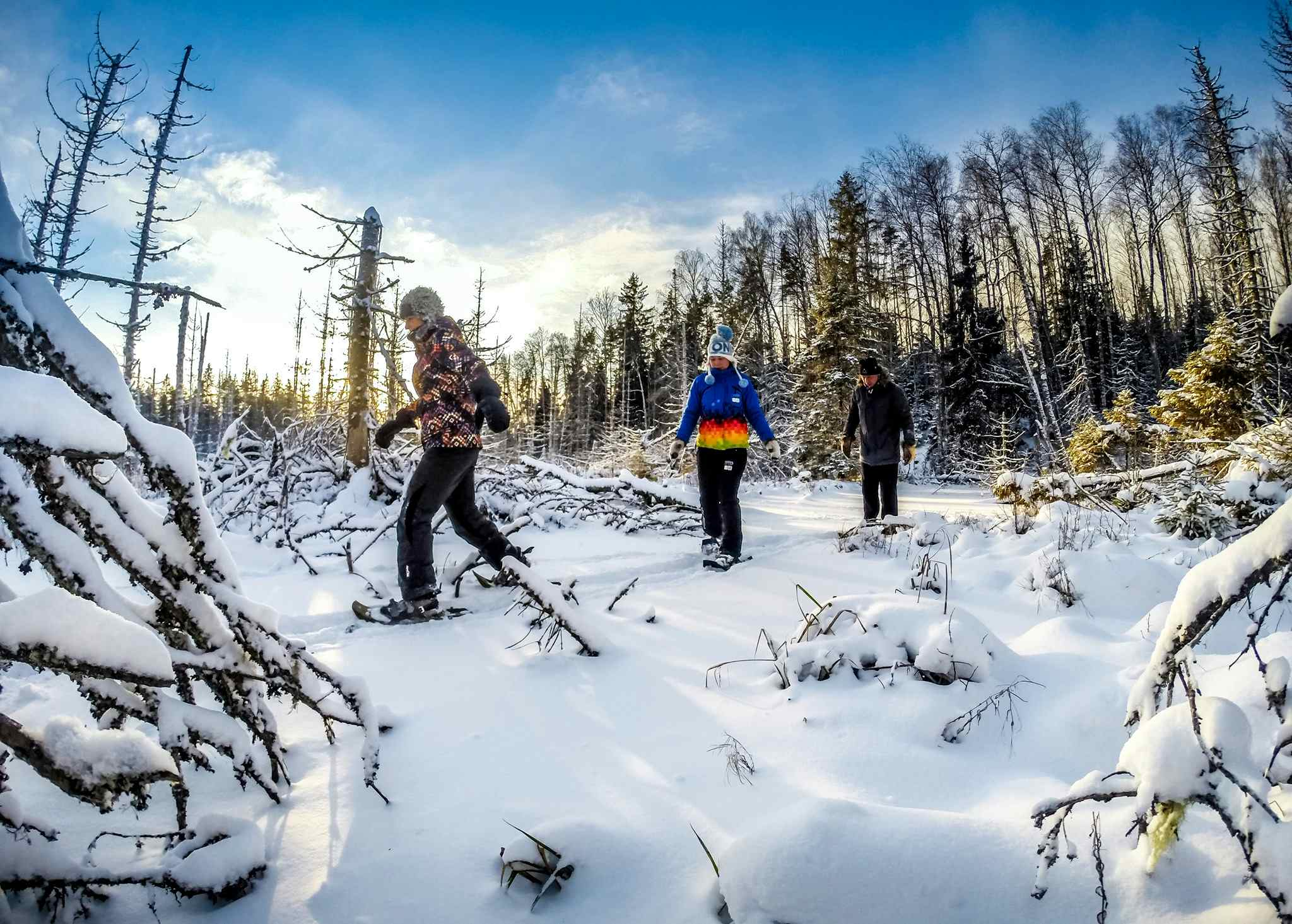 Snowshoeing in Finnish Lapland. Photo: Bliss Adventure.