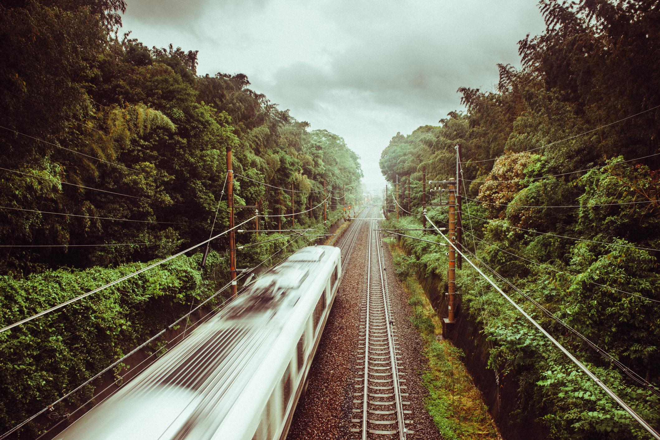 A train passing through Kyoto's bamboo forest. Photo: Getty.