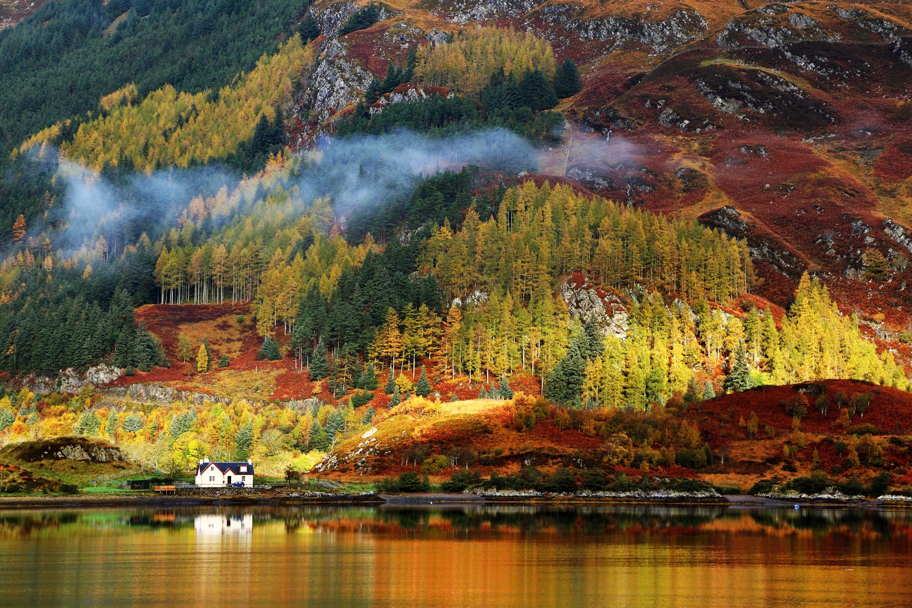Autumn colours in the Scottish Highlands. Photo: Getty.