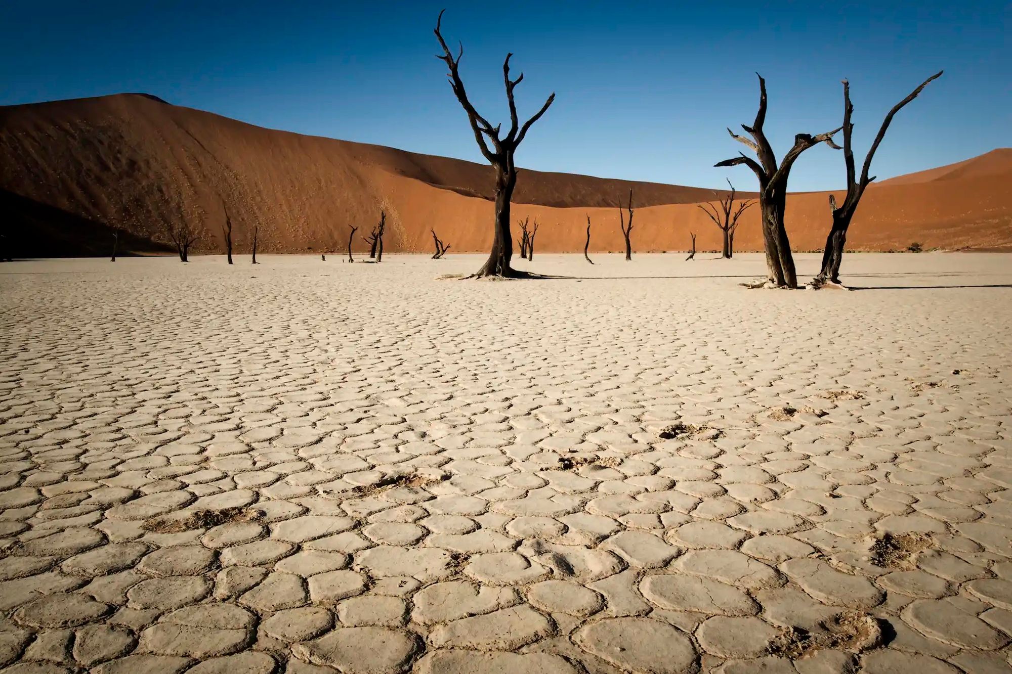 The salt pans and dunes of Sossusvlei, Namibia. Photo: Getty.