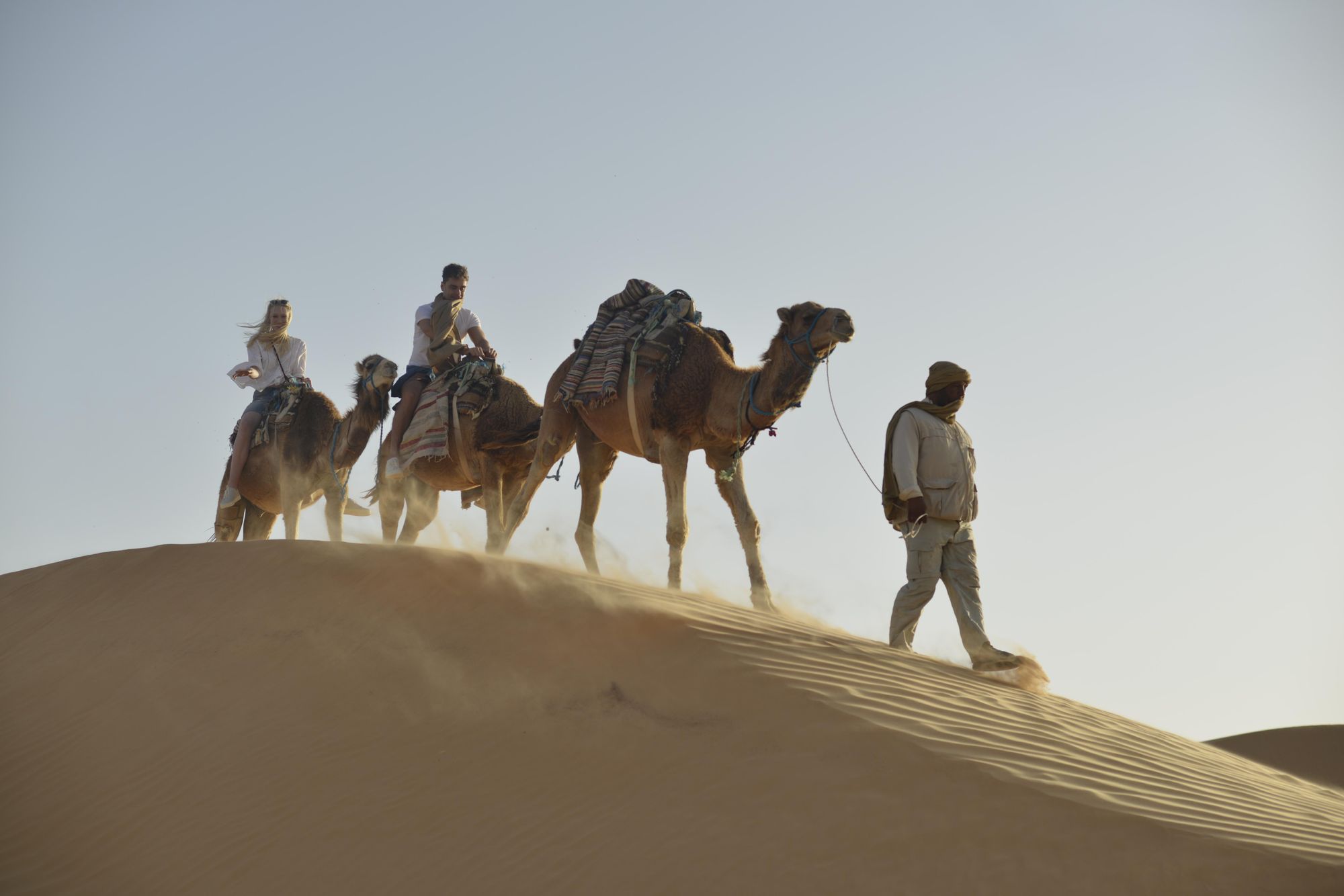 Camel trekking in the Grand Erg Oriental. Photo: Siroko Travel.