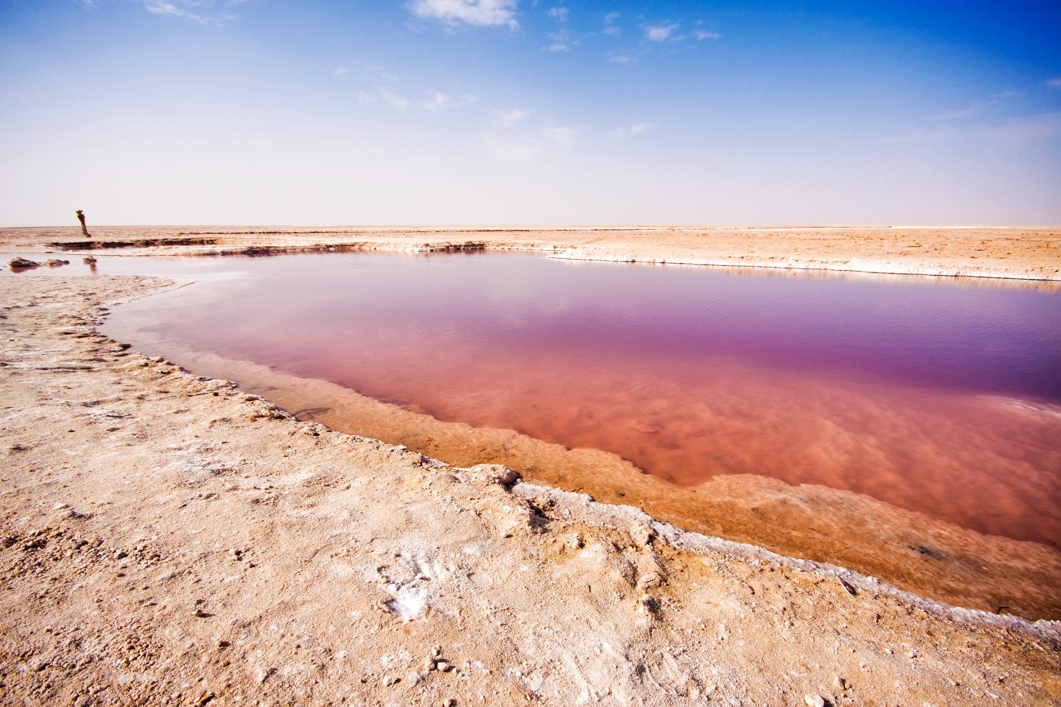 The Chott el Jerid salt lake in Tunisia. Photo: Getty.