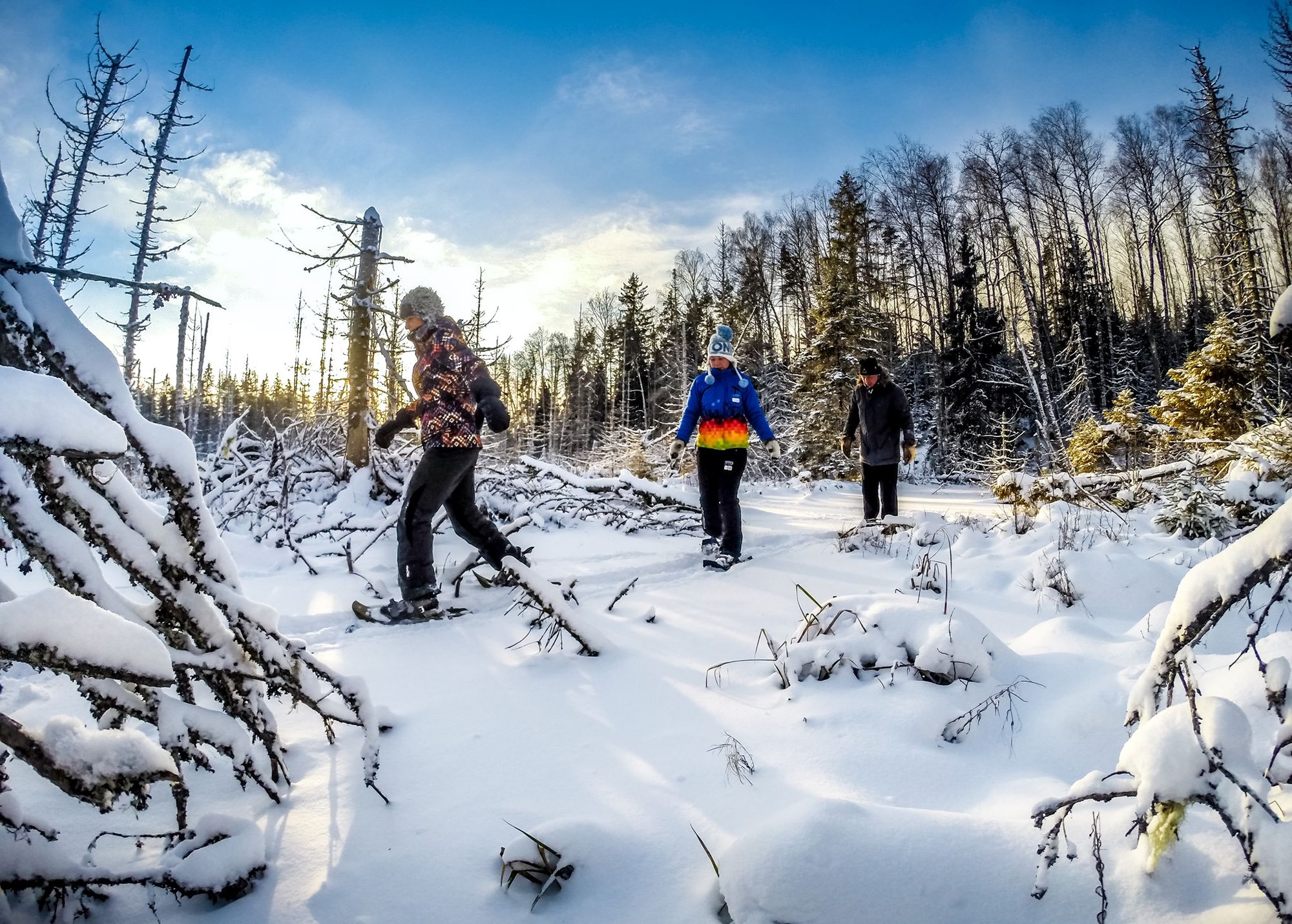 Snowshoeing in Laheema National Park. Photo: Active Est.