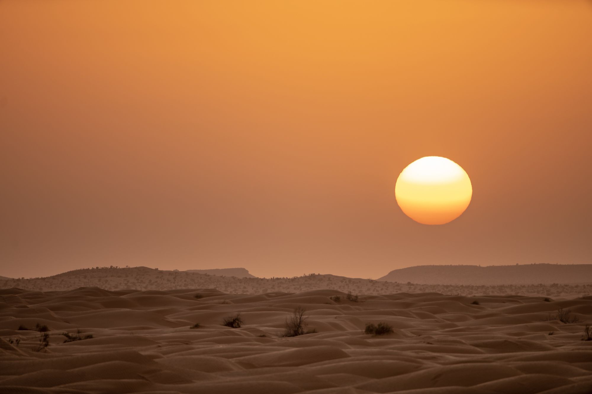 Sunset in the Sahara Desert.