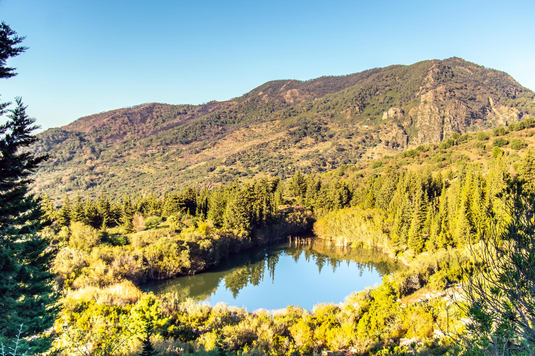 A small lake in the Kroumirie Mountains, near Ain Draham. Photo: Getty.