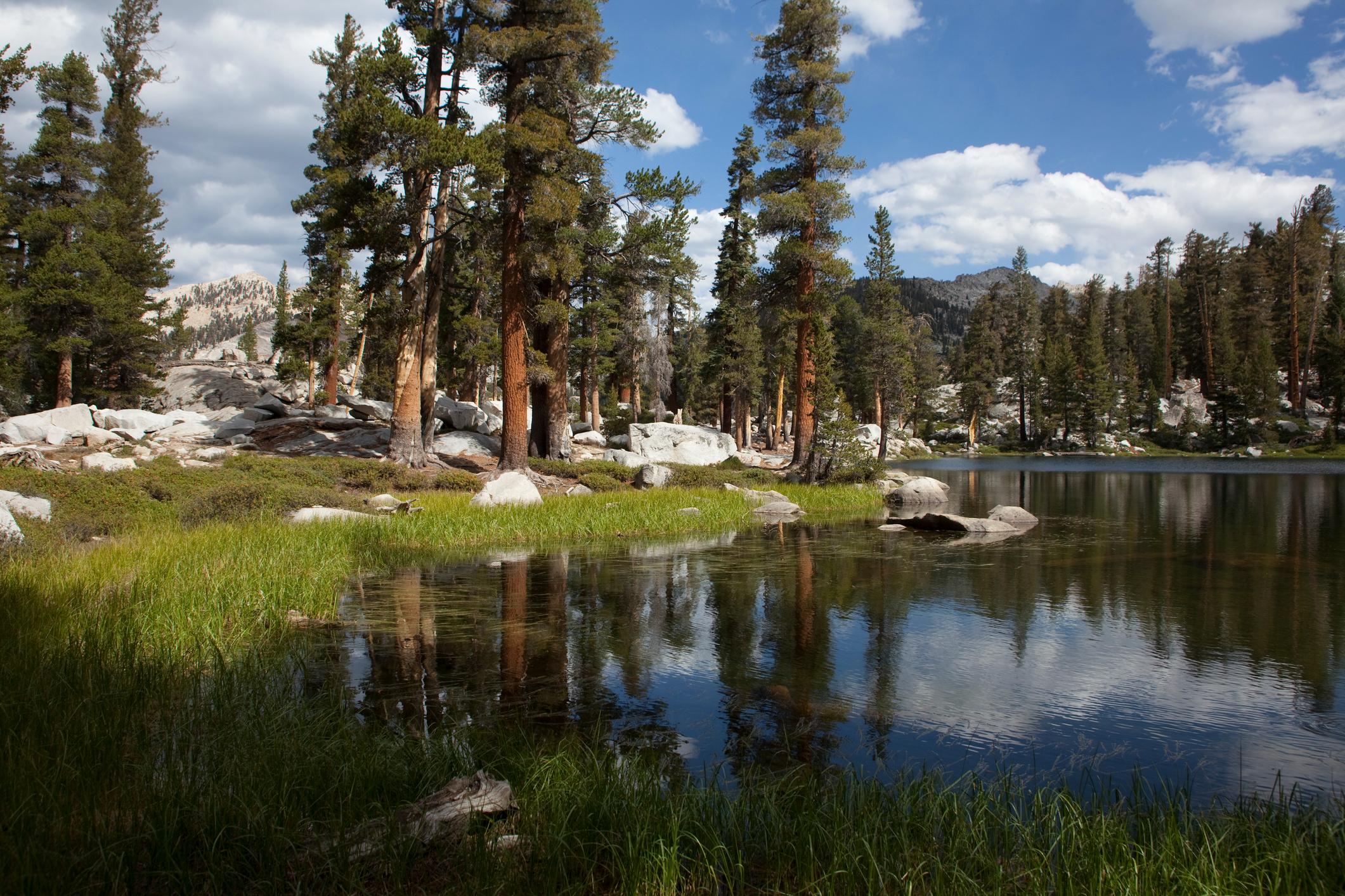 The tree-fringed Heather Lake. Photo: Getty.