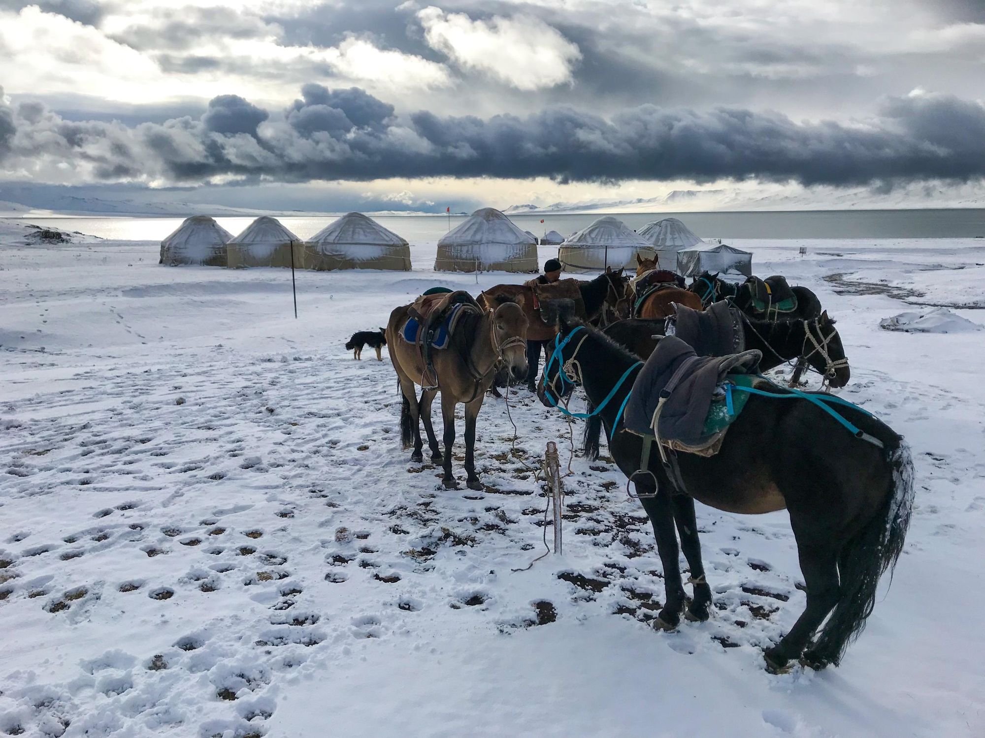 A winter yurt camp in Kyrgyzstan. Photo: Getty.