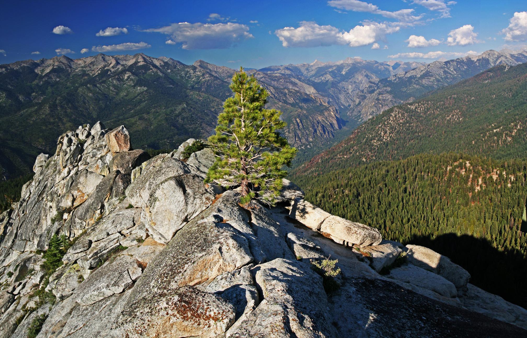 A view of Kings Canyon from Lookout Peak. Photo: NPS/Rick Cain