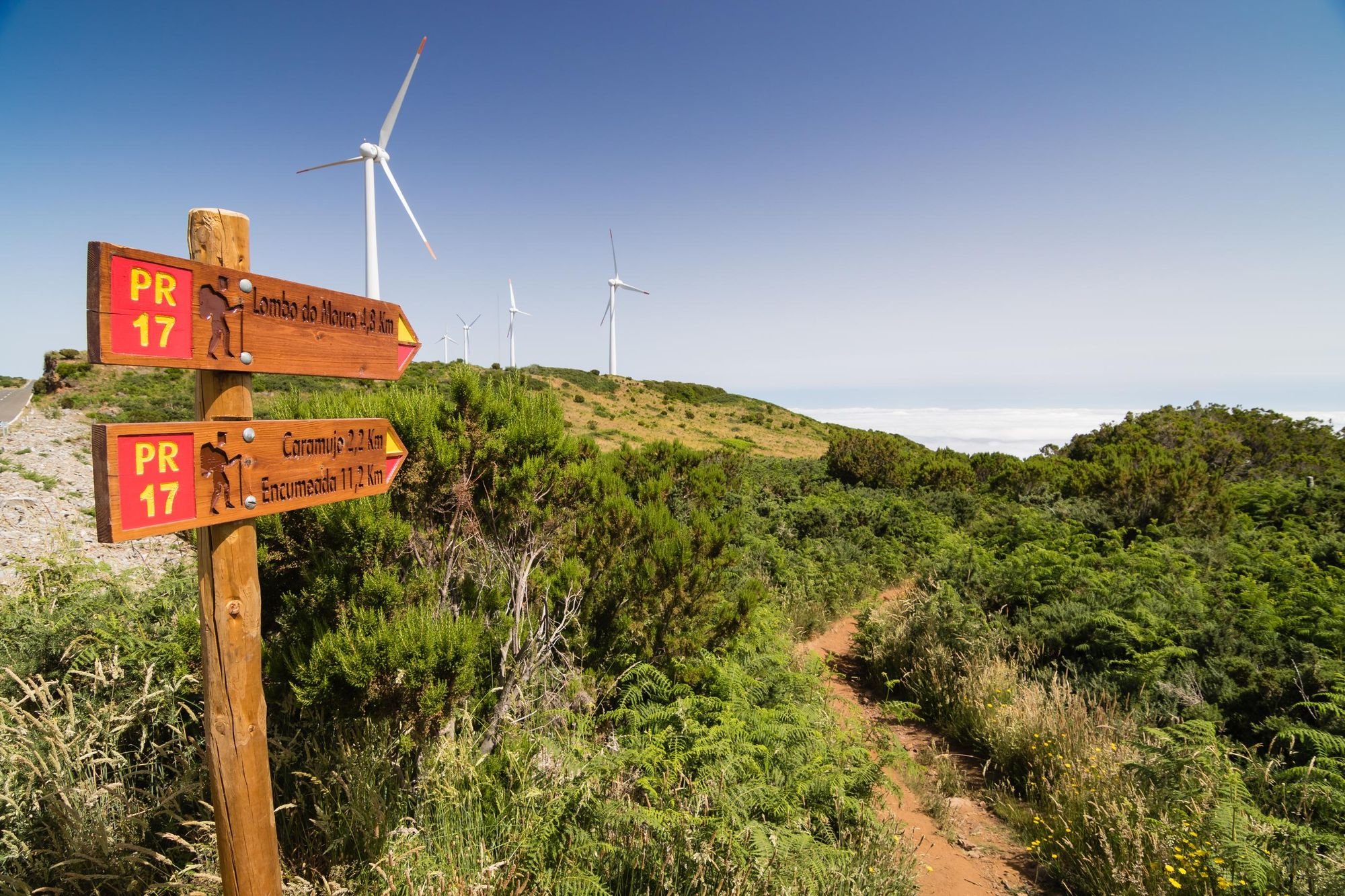 Signposts for the PR17 route in Madeira, one of the marked pathways. Photo: Getty