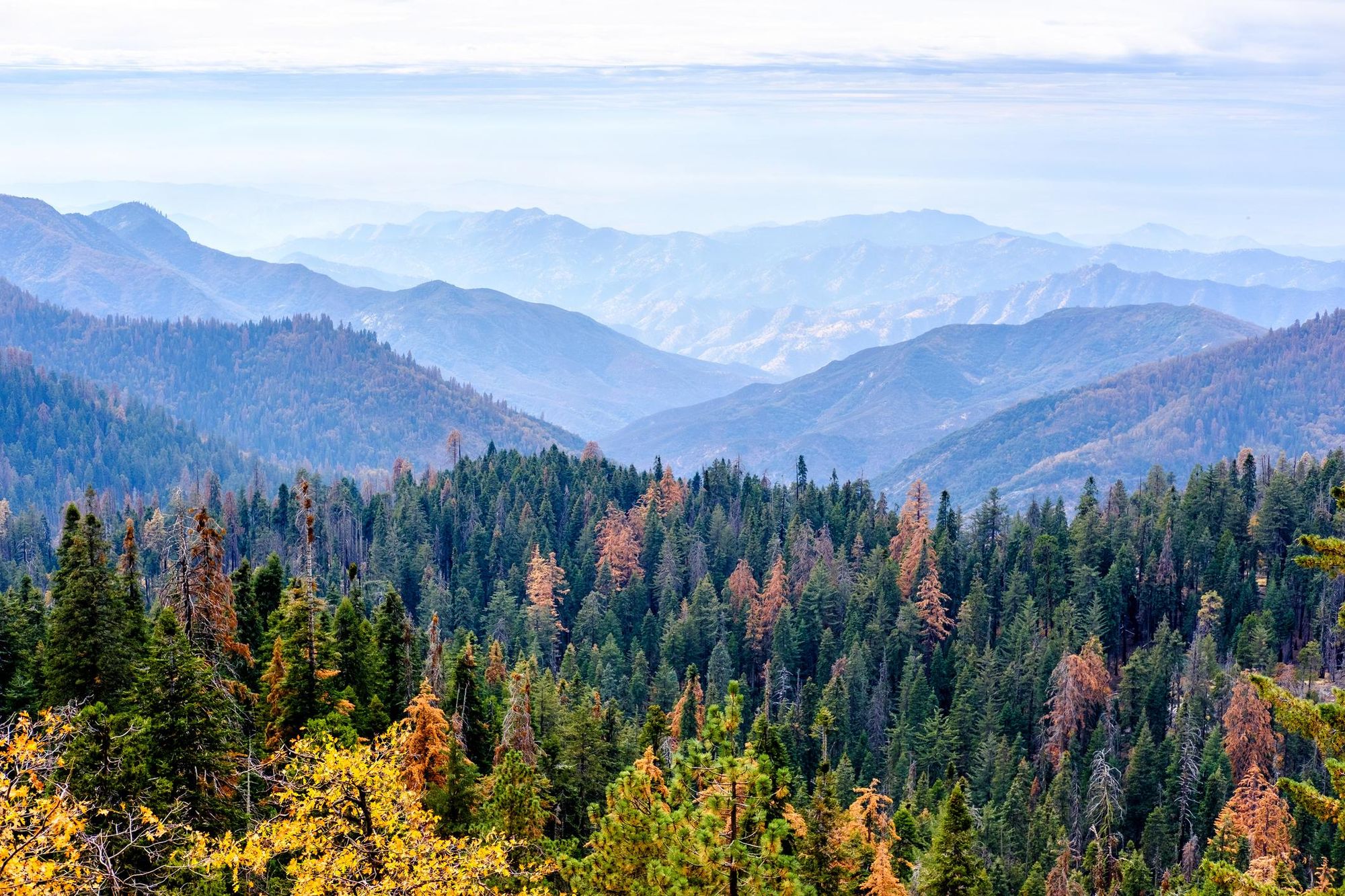 Autumn in Sequoia National Park. Photo: Getty.